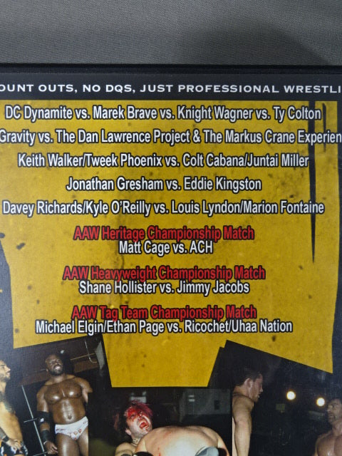 PWR THE CHAOS THEORY 2014