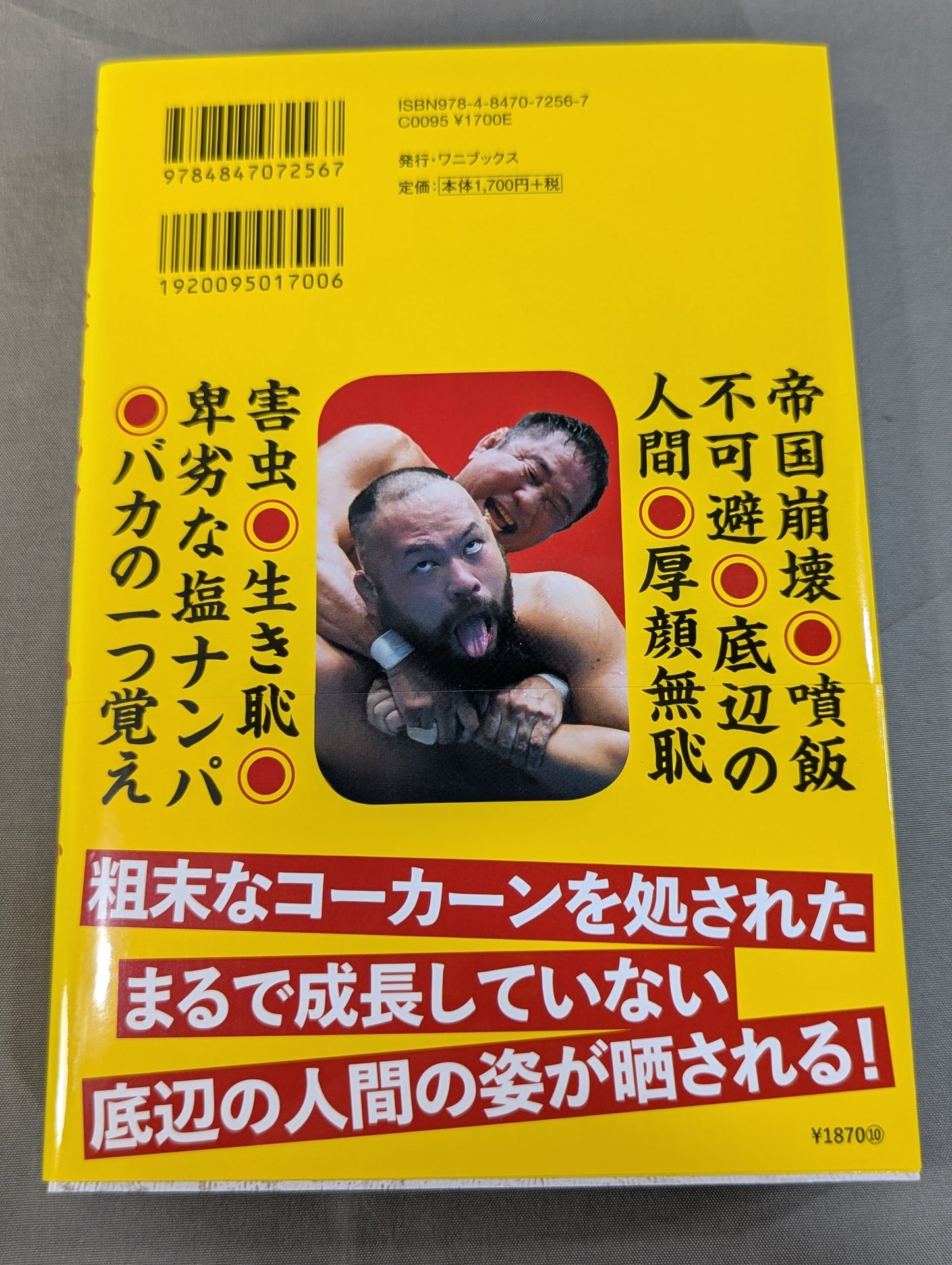 Imperial Scribe's Job