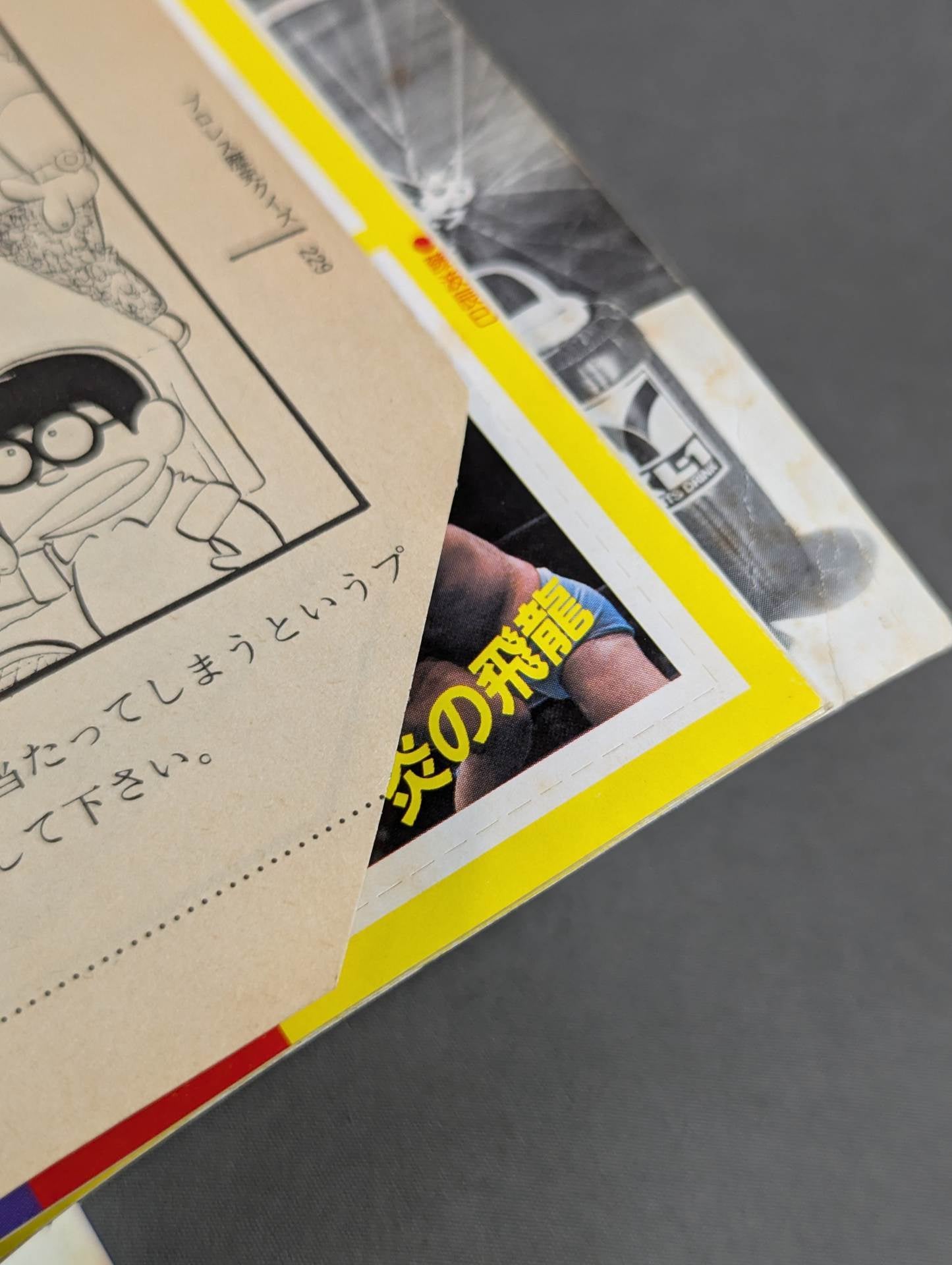 Pro Wrestling All Guidebook(3) Pro Wrestler Warrior of radical romance