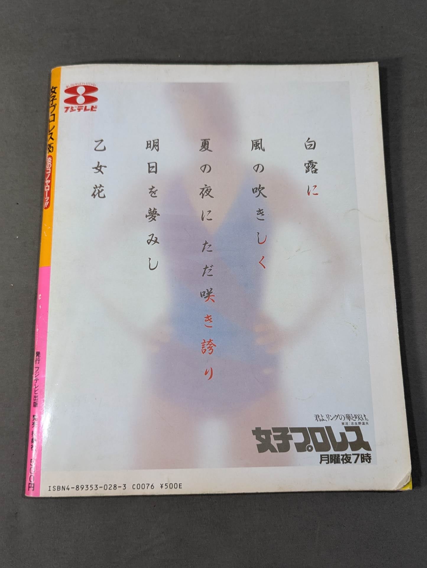 Women'Pro Wrestling '85 Flame Konoya Low!!