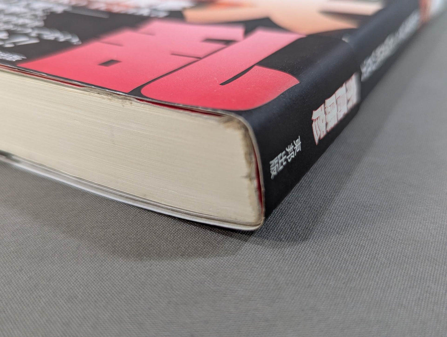 実録!!極真大乱 大山倍達の死と、全国各派の真実