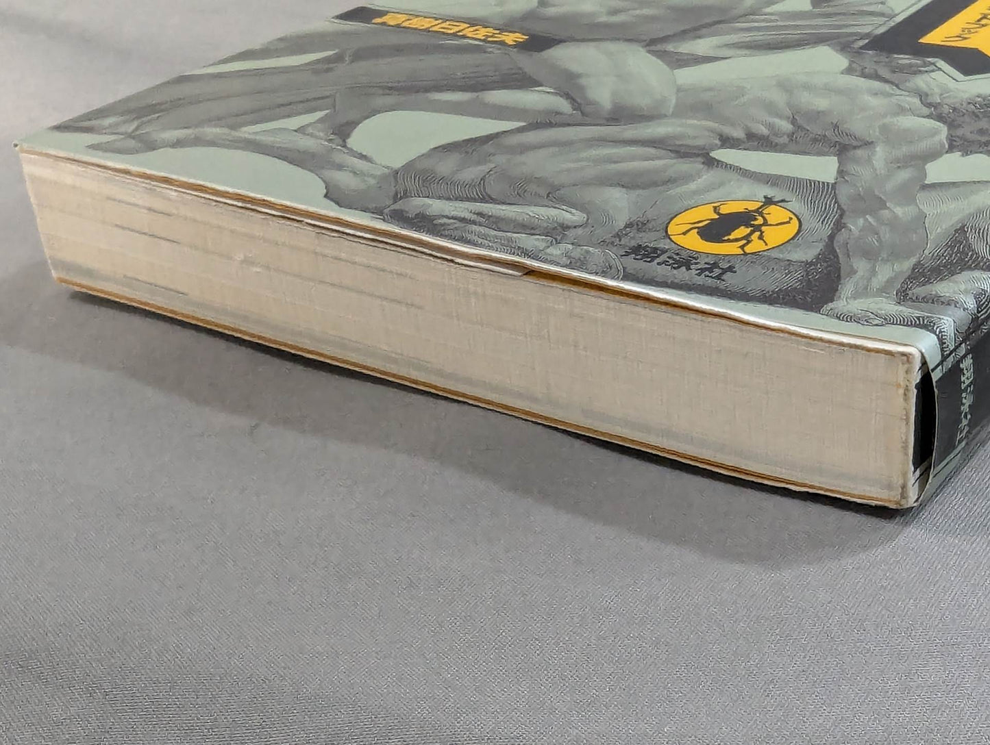 The Bible of "Fighting" Self-Defense Practice Handbook for the General Public