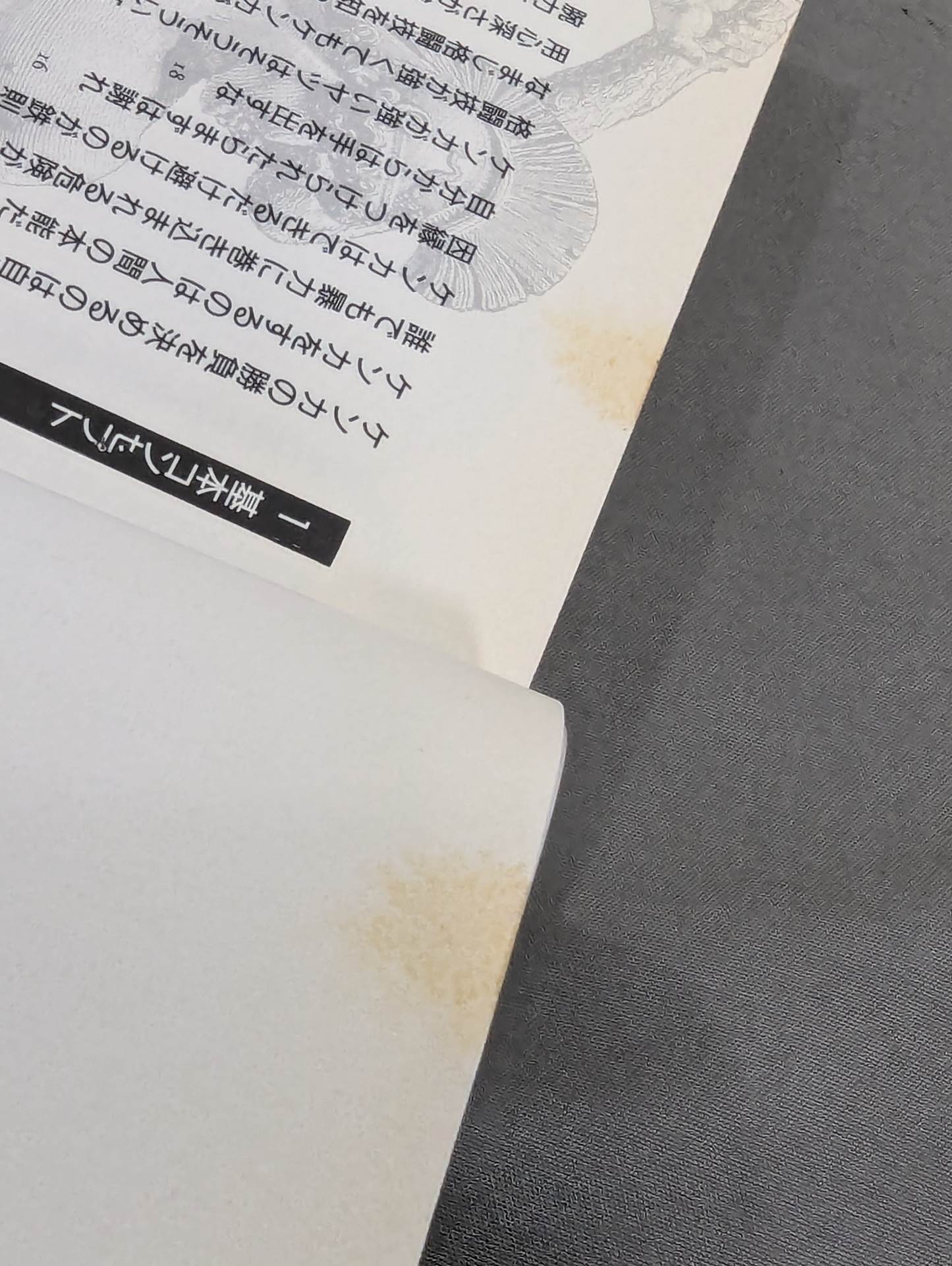 The Bible of "Fighting" Self-Defense Practice Handbook for the General Public