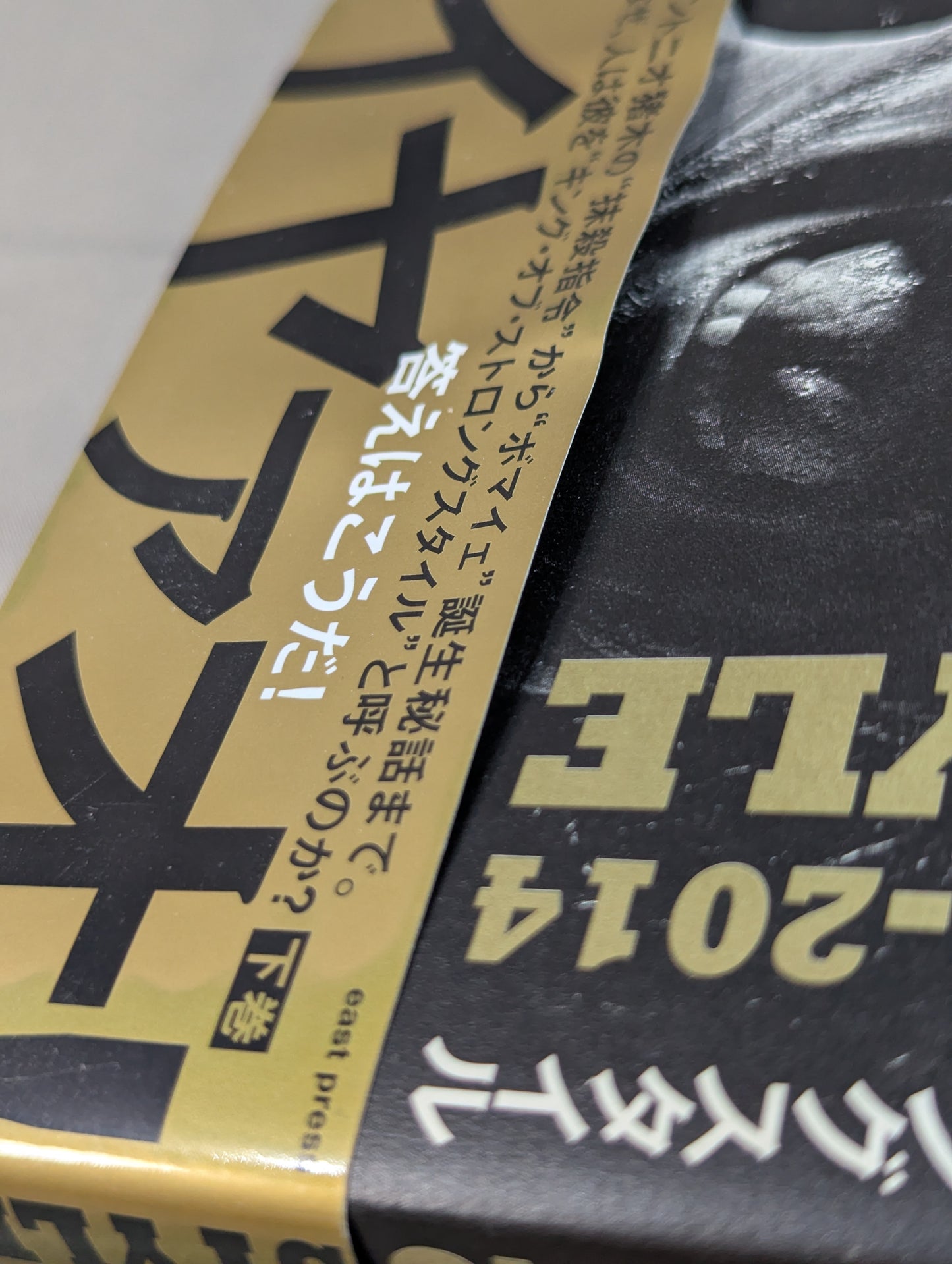 Shinsuke Nakamura Autobiography King of Strong Style 2005-2014 Volume 2