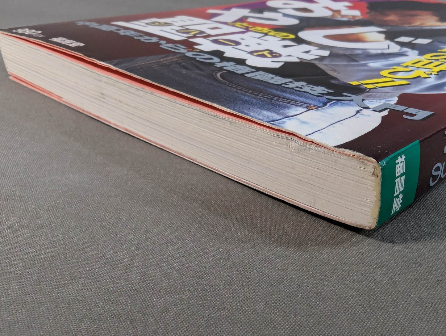 格闘王17 おやじたちの聖戦(ジハード) 中高年からの格闘技入門