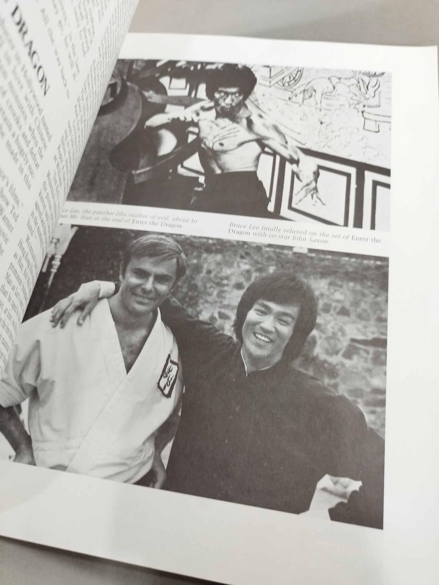 FROM BRUCE LEE TO THE NINJAS