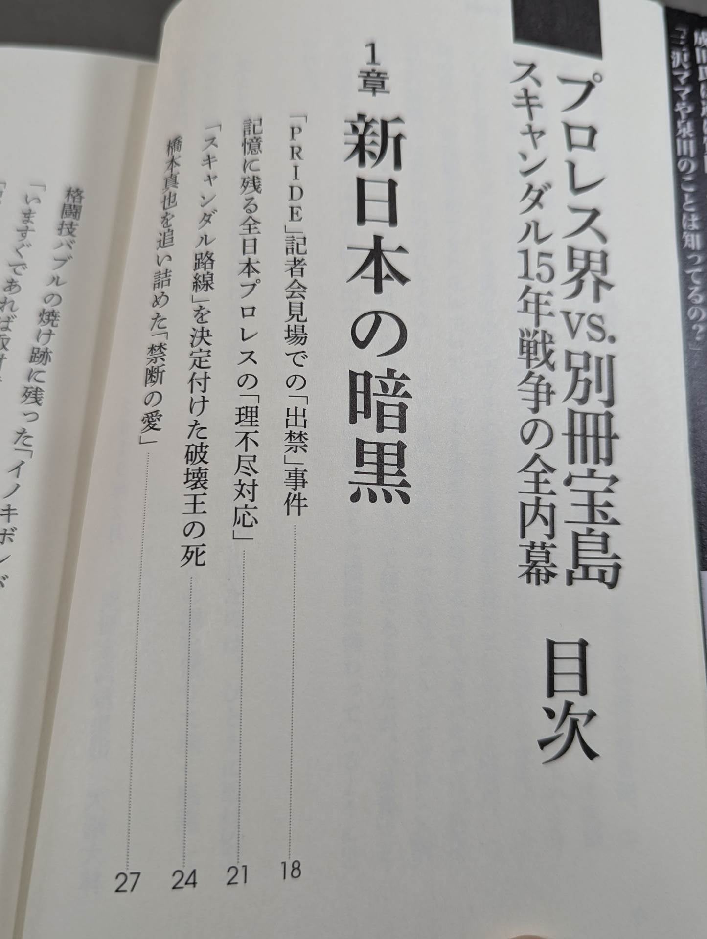 プロレス界vs.別冊宝島 スキャンダル15年戦争の全内幕
