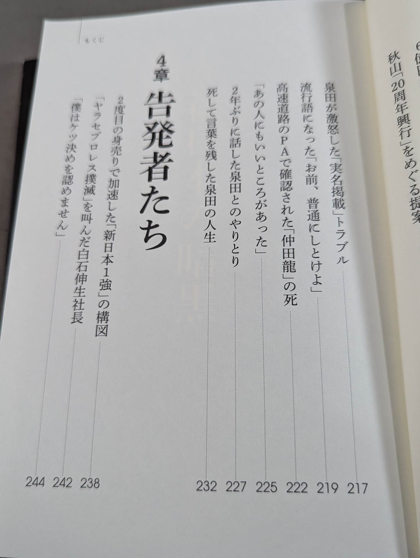 プロレス界vs.別冊宝島 スキャンダル15年戦争の全内幕