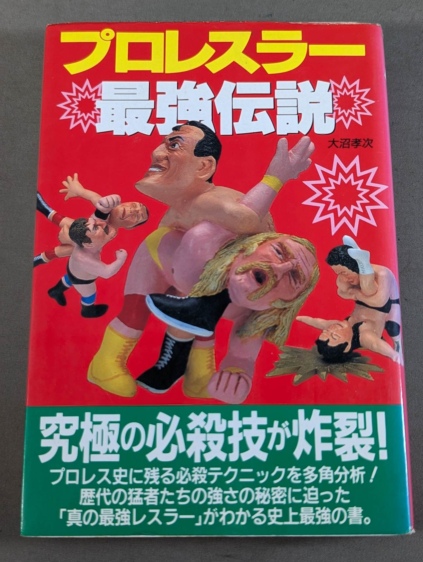 Pro Wrestler 's Strongest Legend
