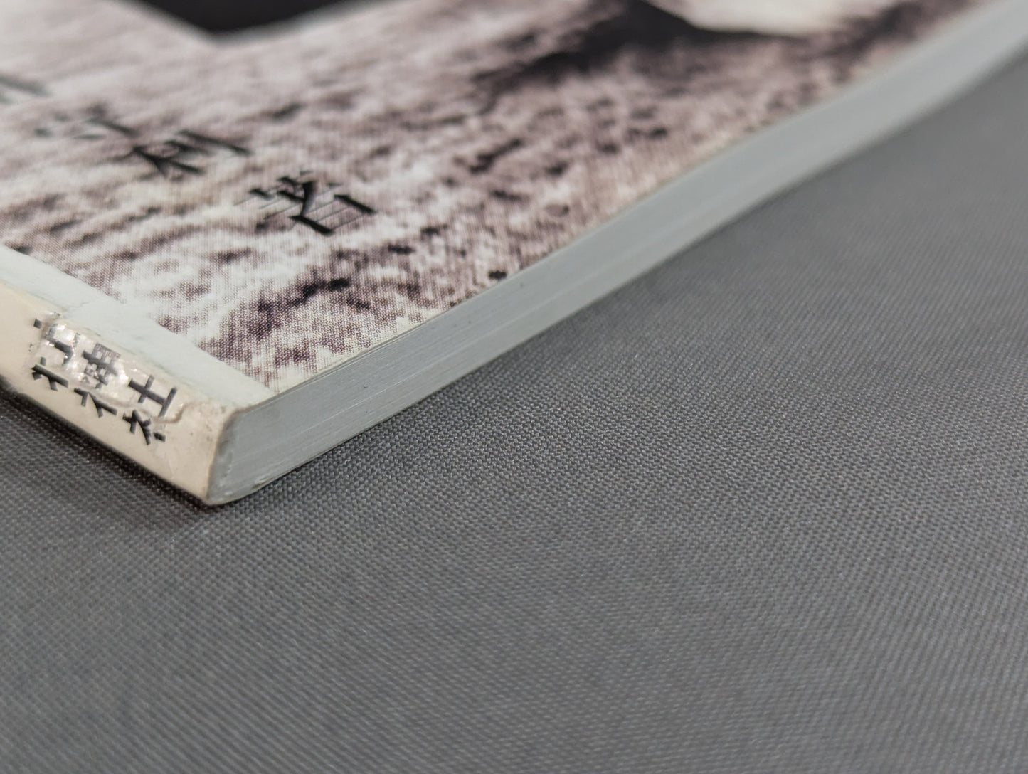 Scientific research on the secret martial arts of the Ryukyu royal family, Motobu Gotente