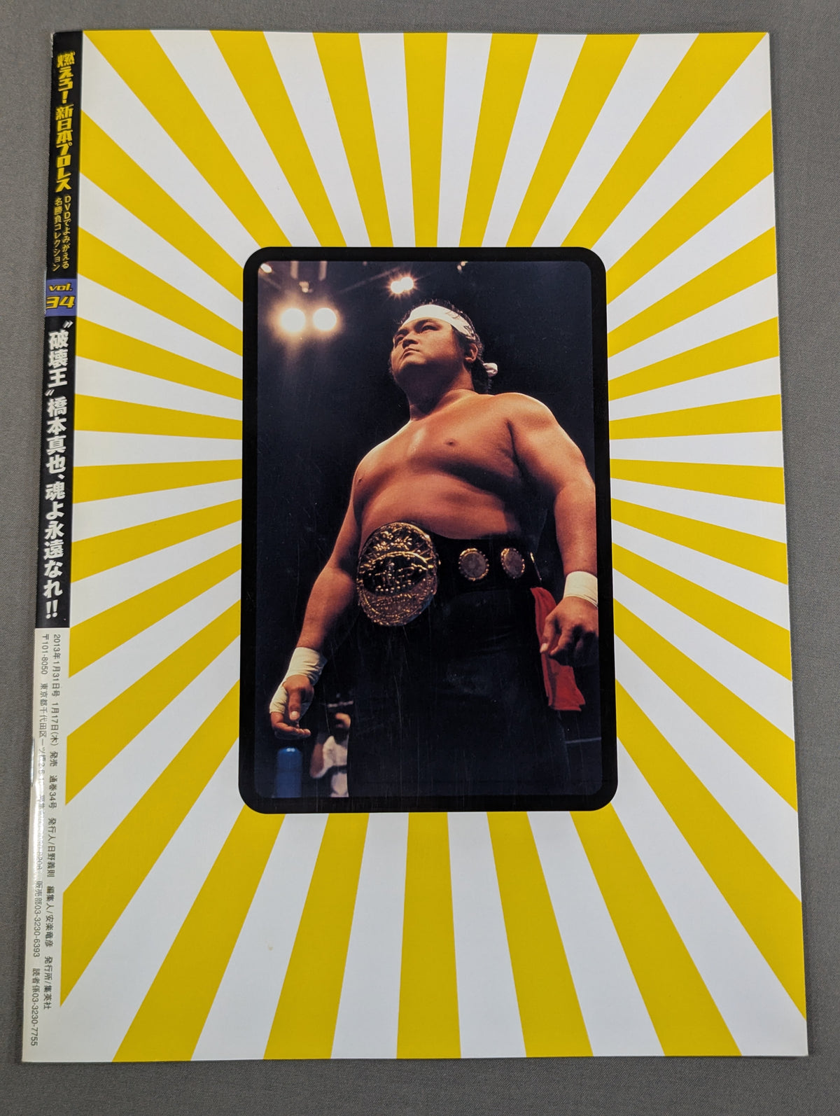 Burn! New Japan Pro Wrestling vol.34