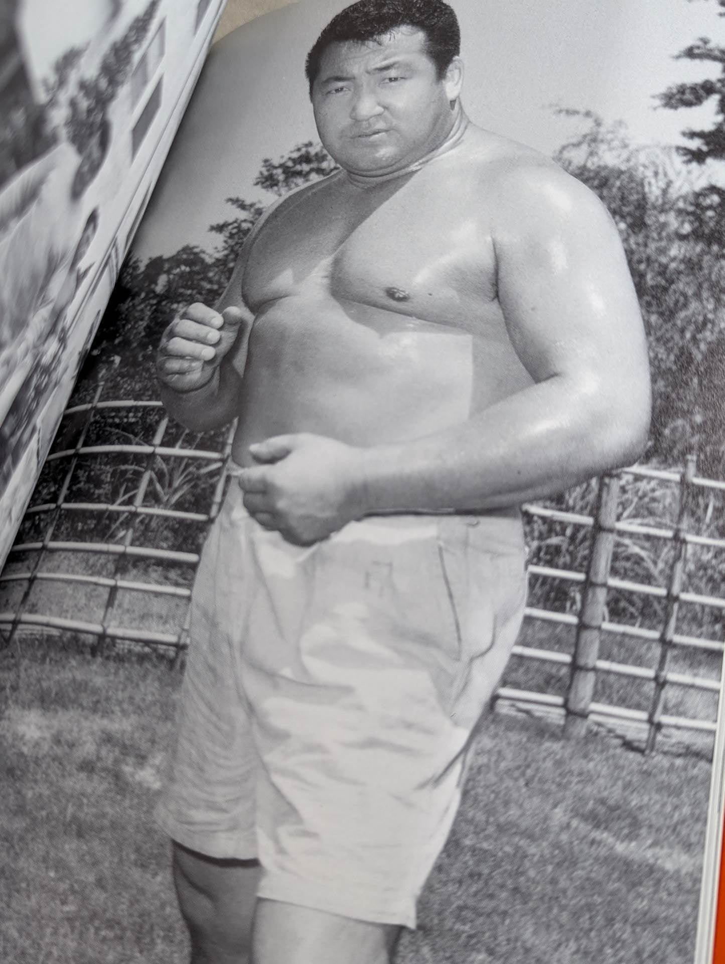 Photo collection, no open doors! Rikidozan