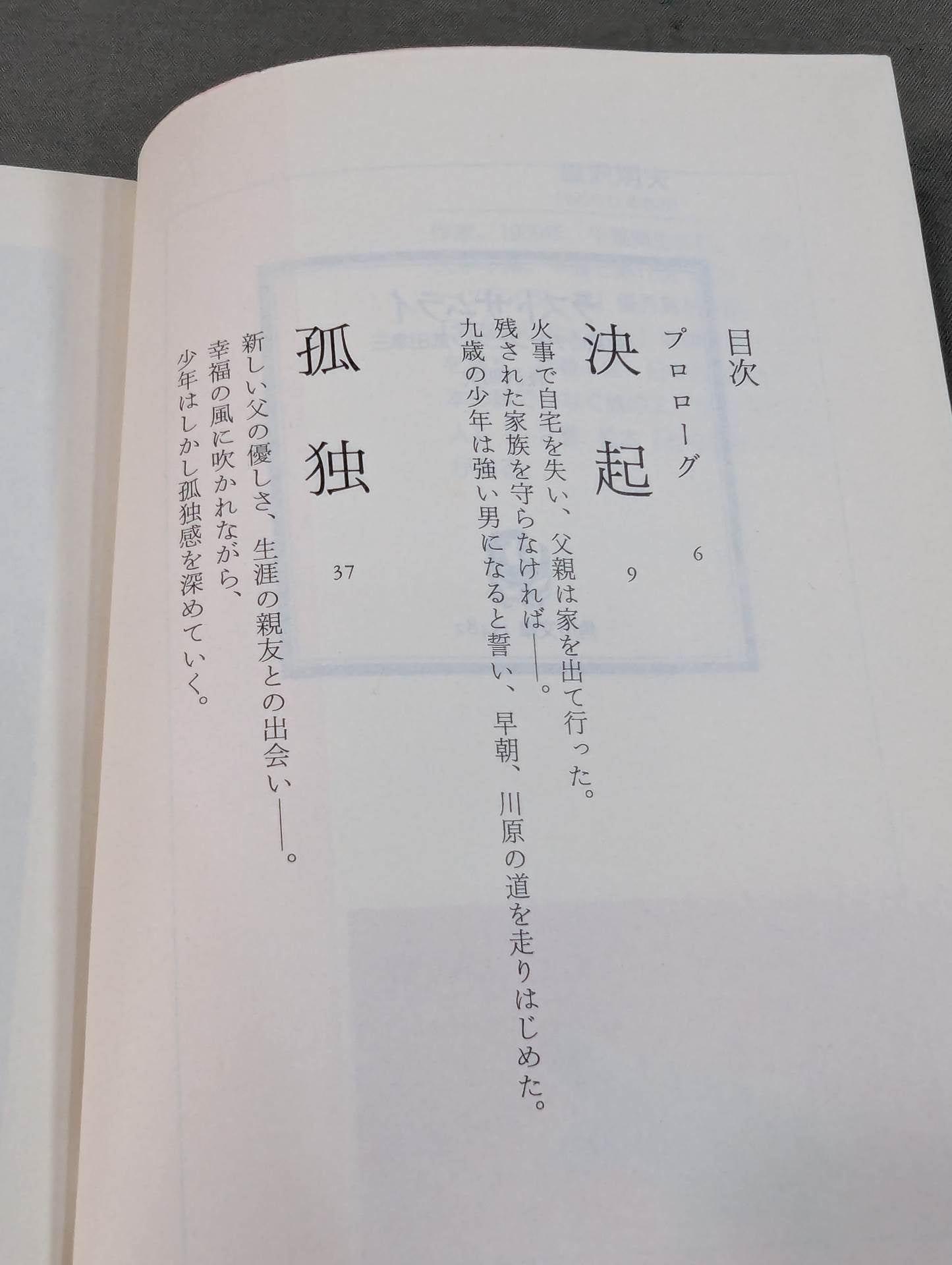 ラストサムライ 片目のチャンピオン武田幸三