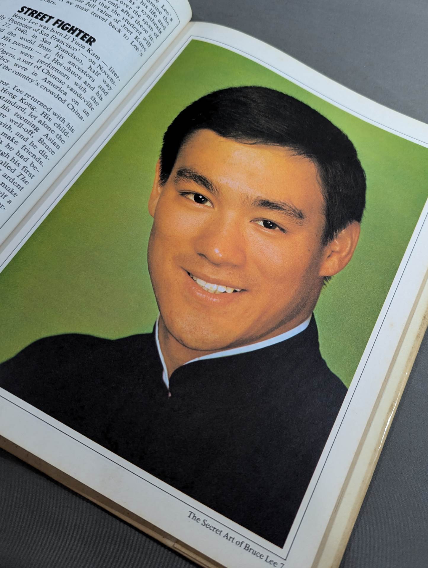 THE SECRET ART OF BRUCE LEE