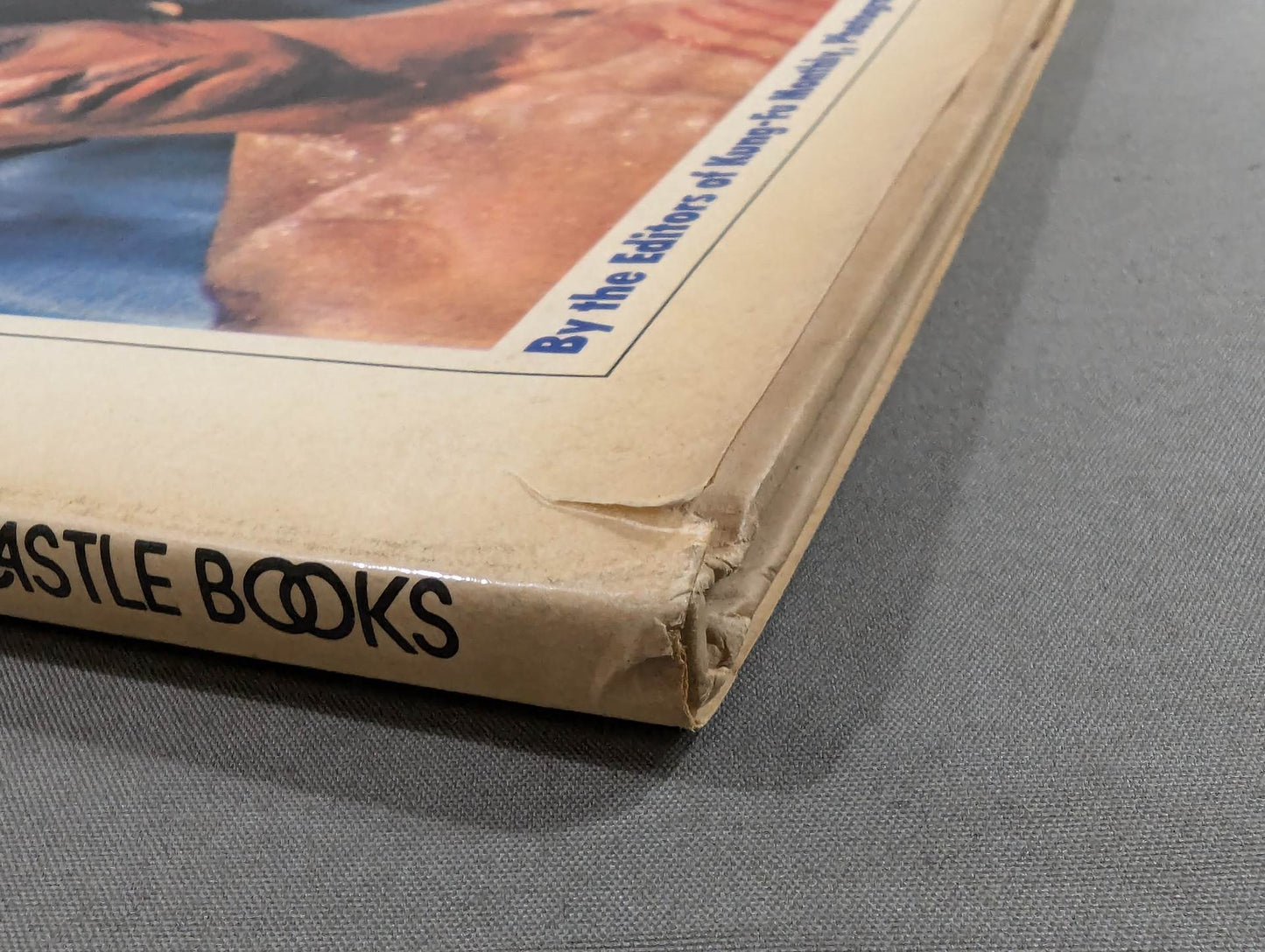 THE SECRET ART OF BRUCE LEE