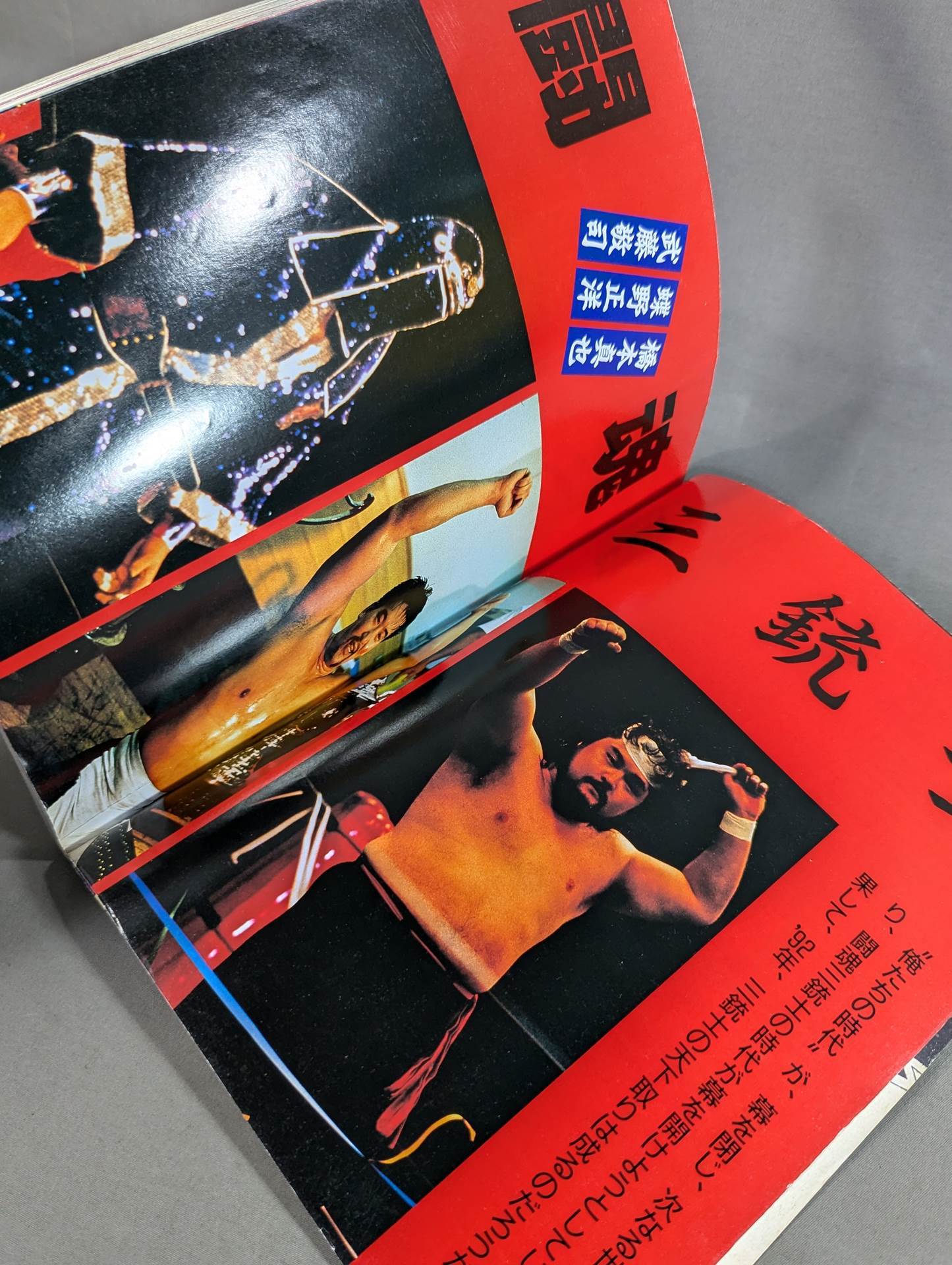 プロレス革命(レボリューション) vol.2 特集闘魂三銃士・爆砕準備完了!
