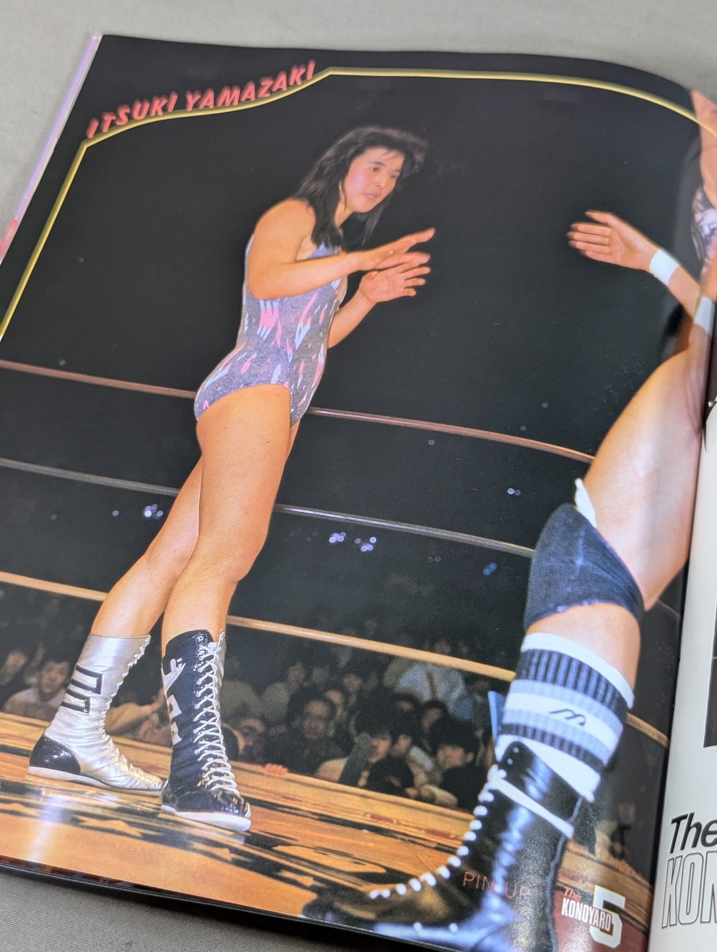 女子プロレス5 ヤッたぜコノヤローッ!!