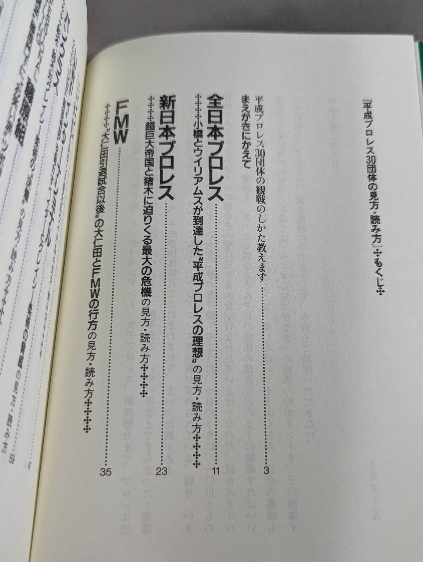 ポケットブック83 平成プロレス30団体の見方・読み方