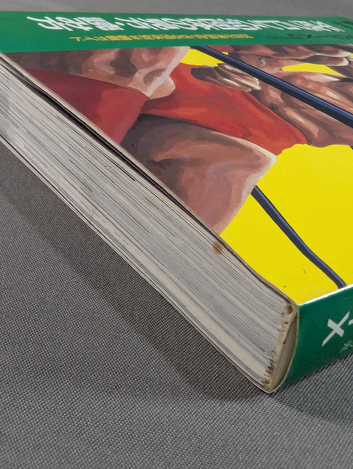 ポケットブック83 平成プロレス30団体の見方・読み方