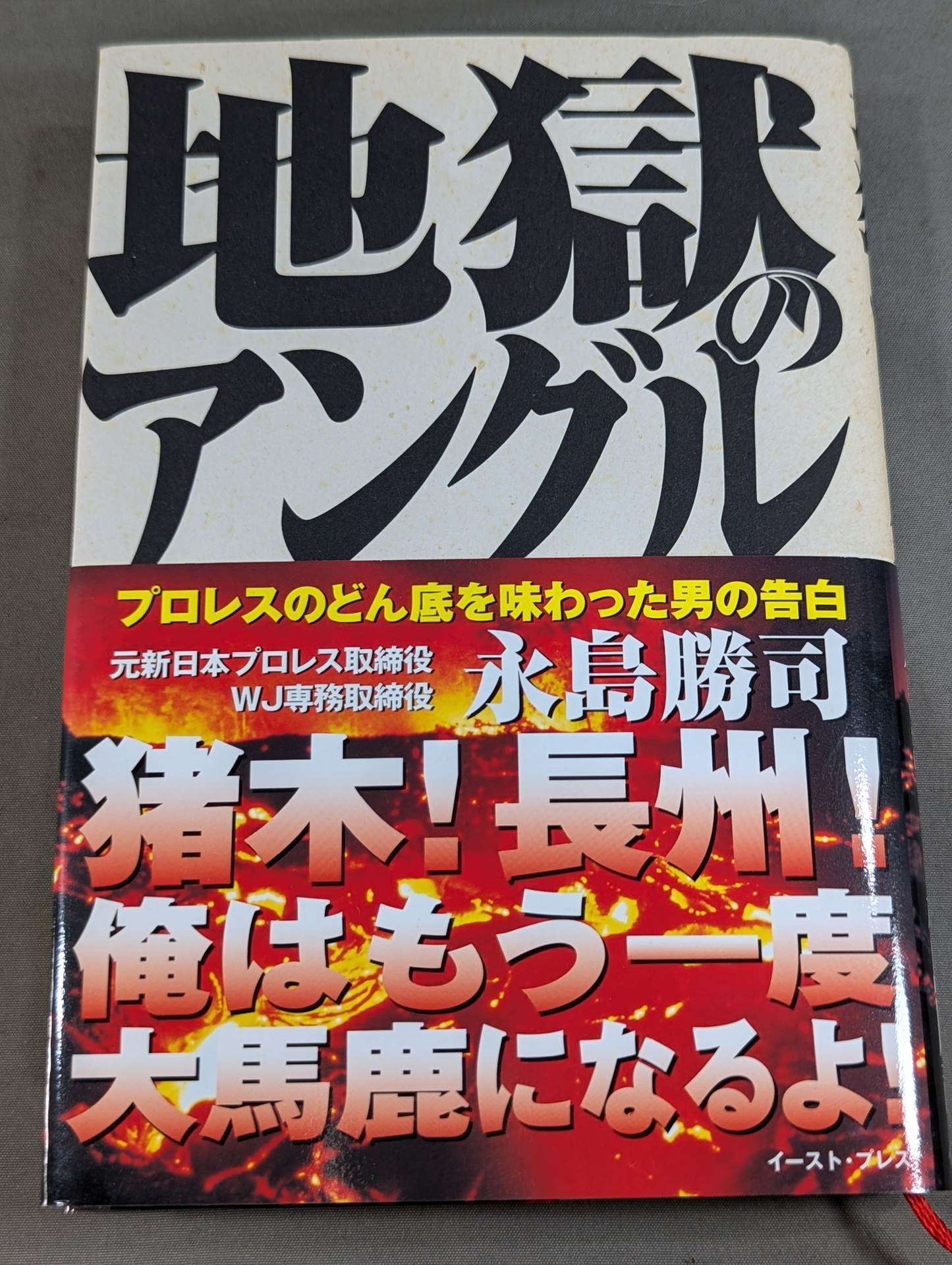 地獄のアングル プロレスのどん底を味わった男の告白
