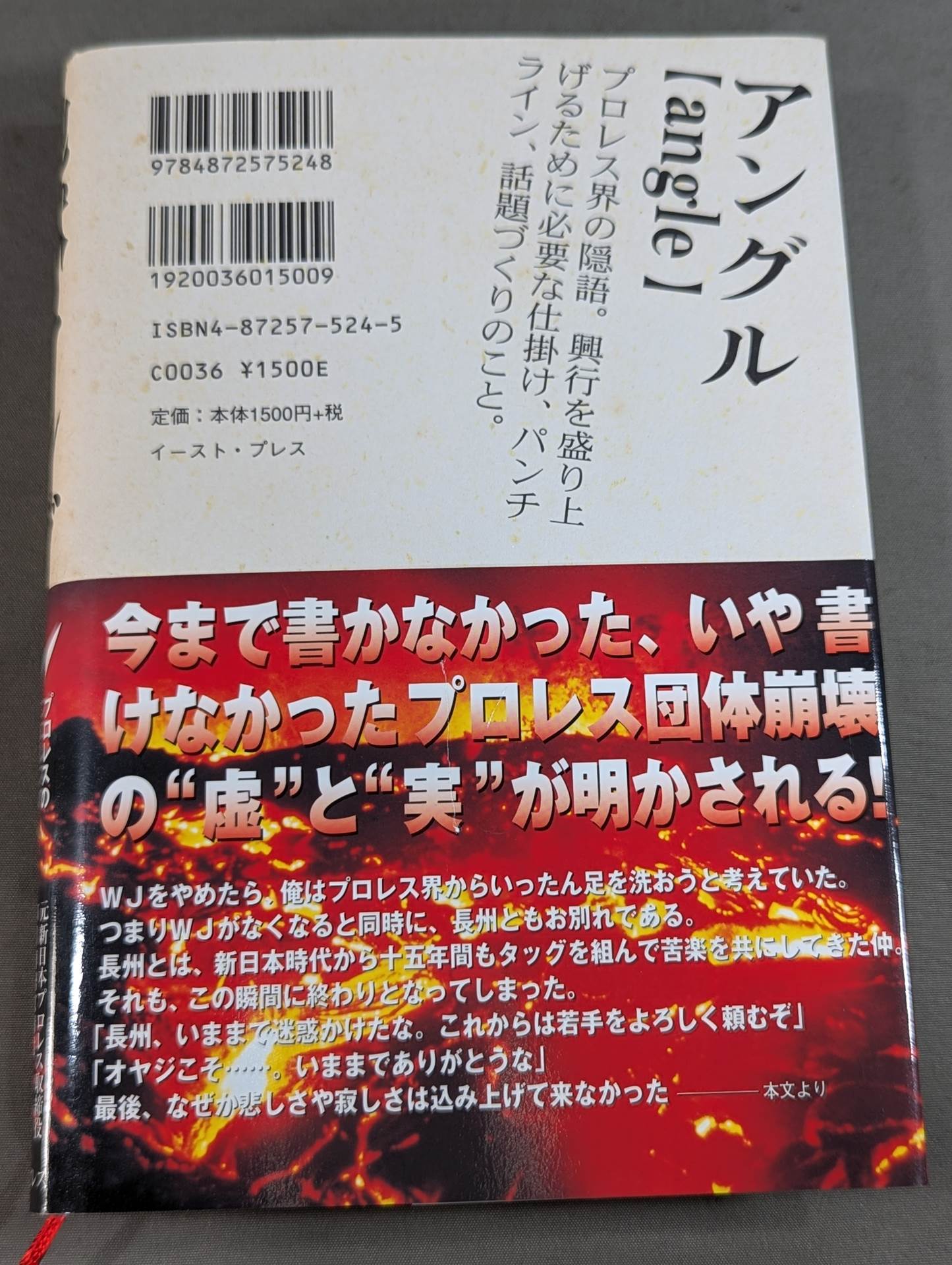 地獄のアングル プロレスのどん底を味わった男の告白
