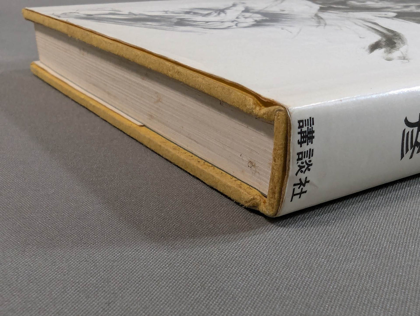 Oni no Judo: A record of fierce training