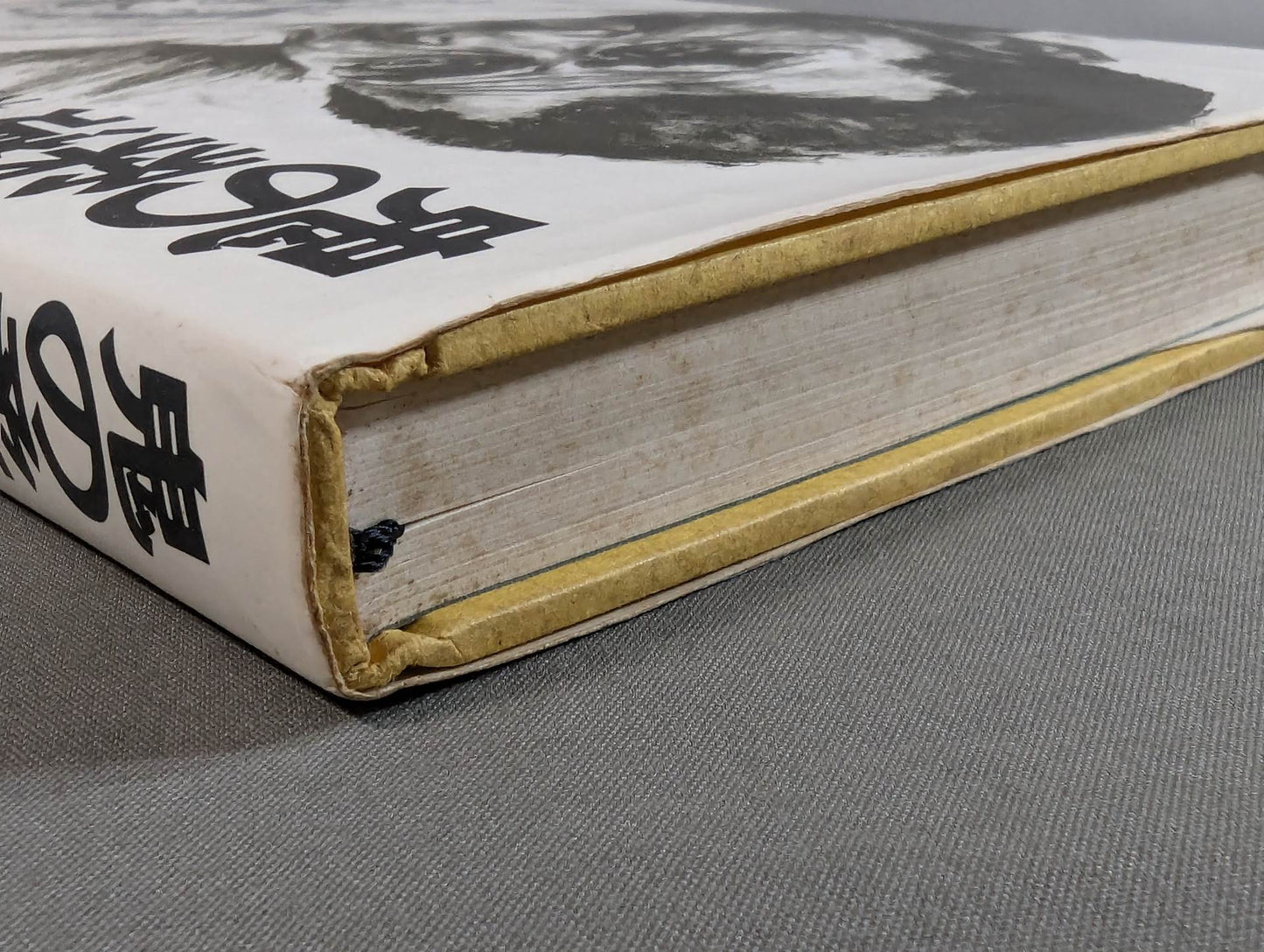 Oni no Judo: A record of fierce training