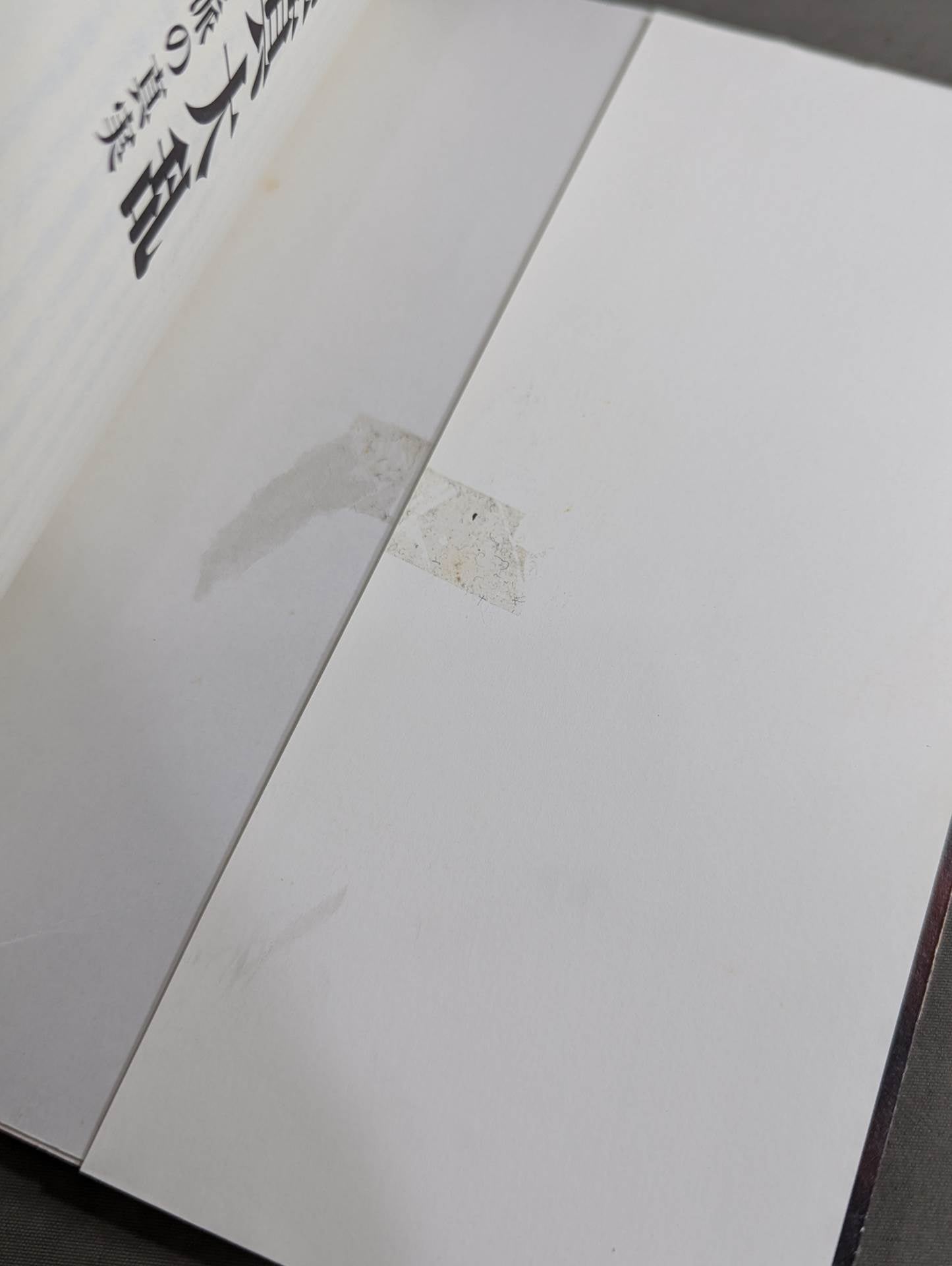 実録!!極真大乱 大山倍達の死と、全国各派の真実