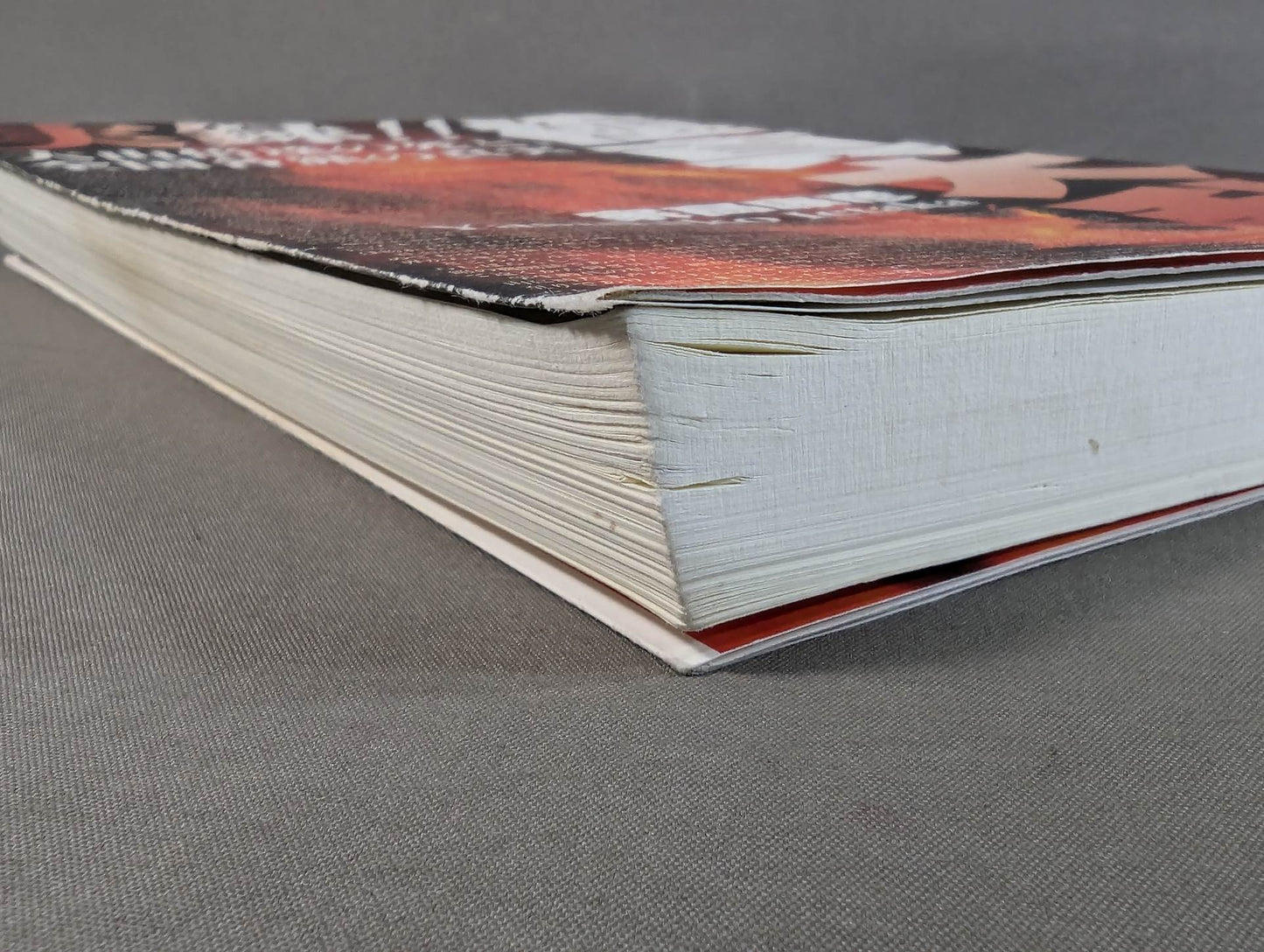 実録!!極真大乱 大山倍達の死と、全国各派の真実