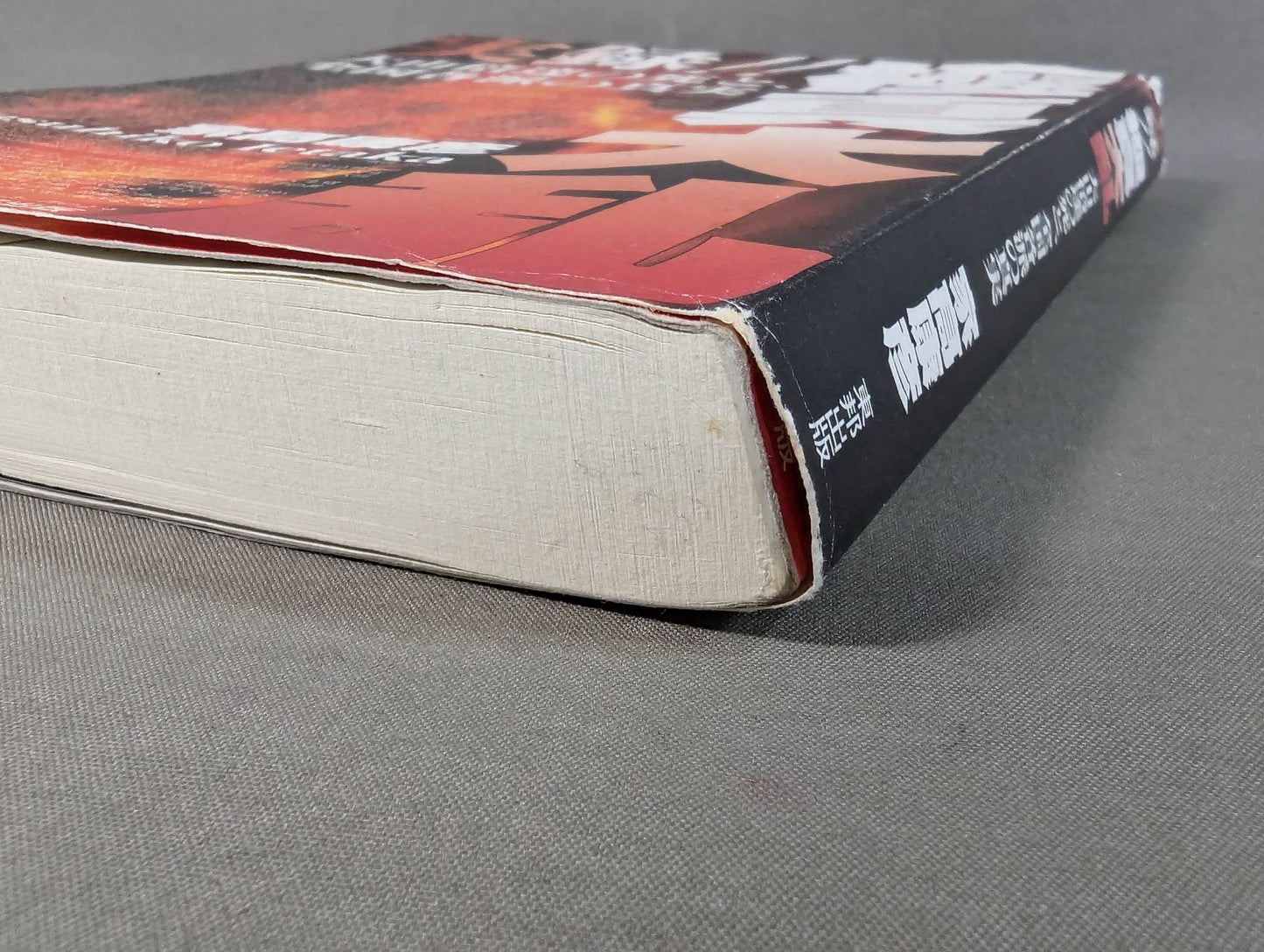 実録!!極真大乱 大山倍達の死と、全国各派の真実