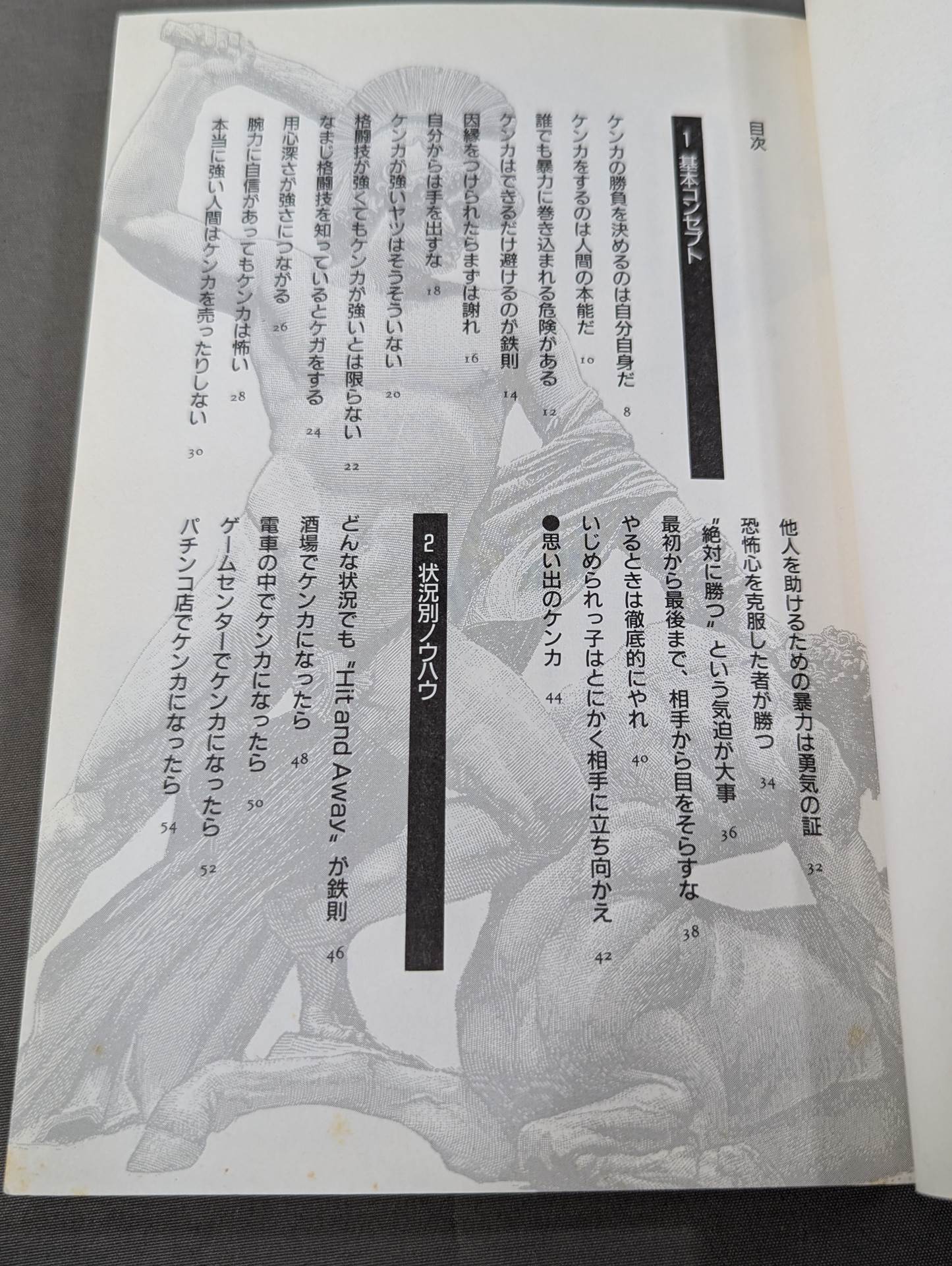 The Bible of "Fighting" Self-Defense Practice Handbook for the General Public