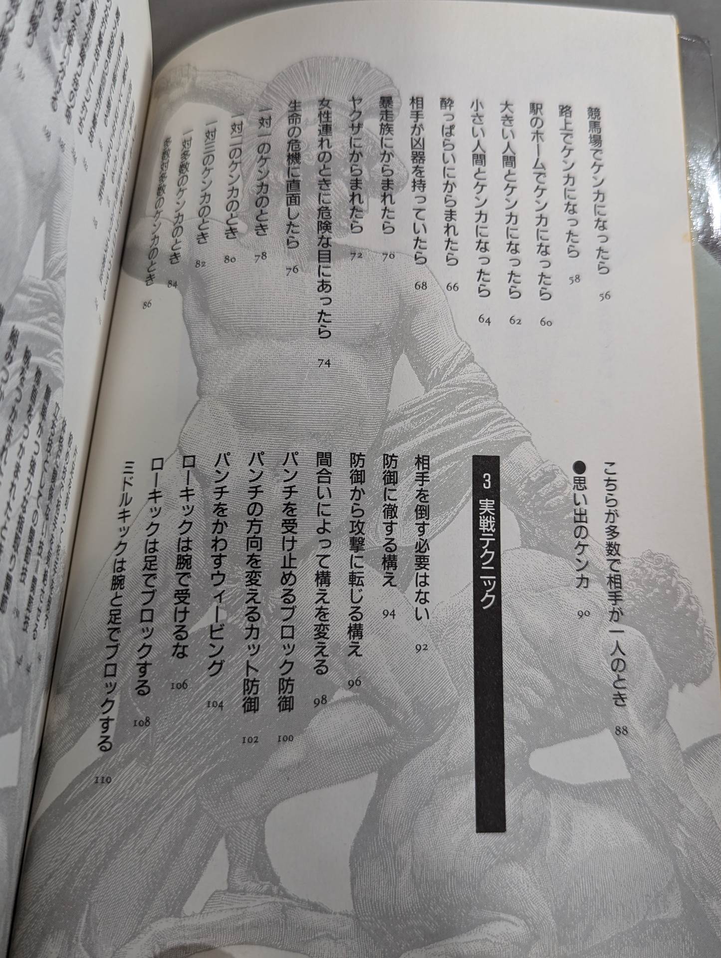 The Bible of "Fighting" Self-Defense Practice Handbook for the General Public