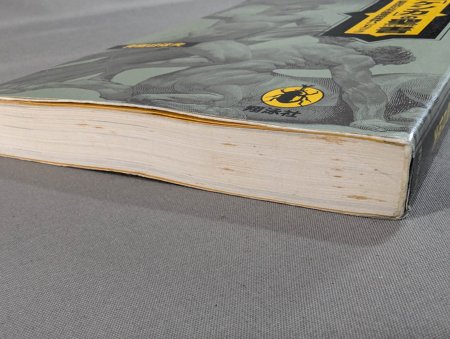 The Bible of "Fighting" Self-Defense Practice Handbook for the General Public