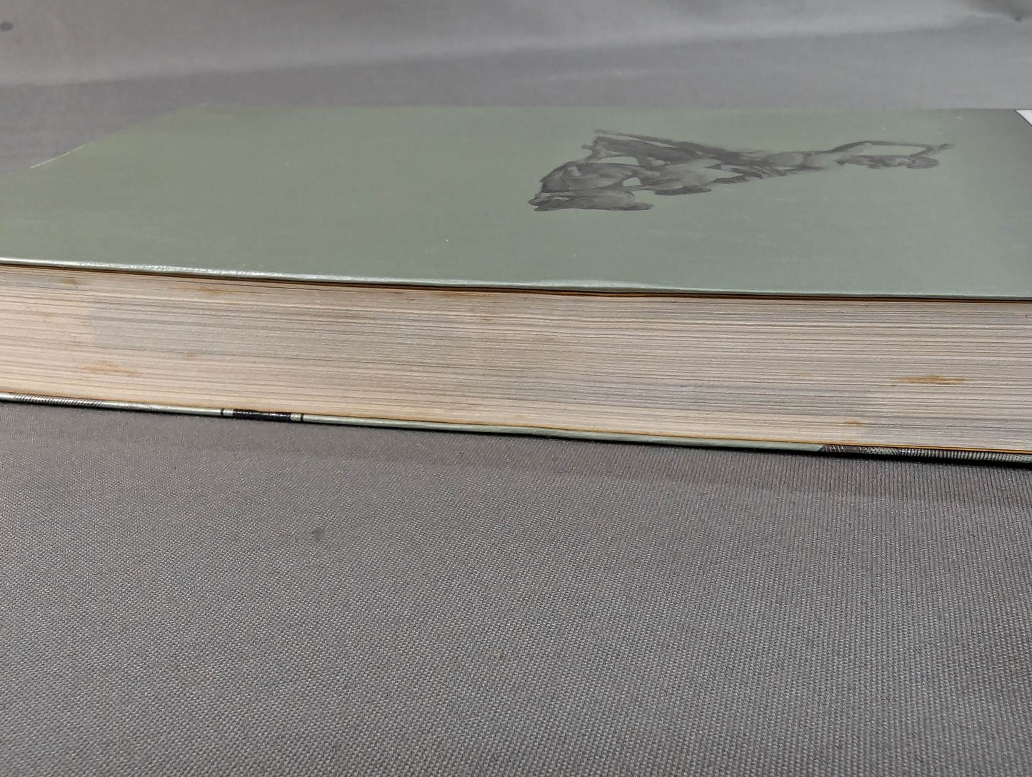 The Bible of "Fighting" Self-Defense Practice Handbook for the General Public