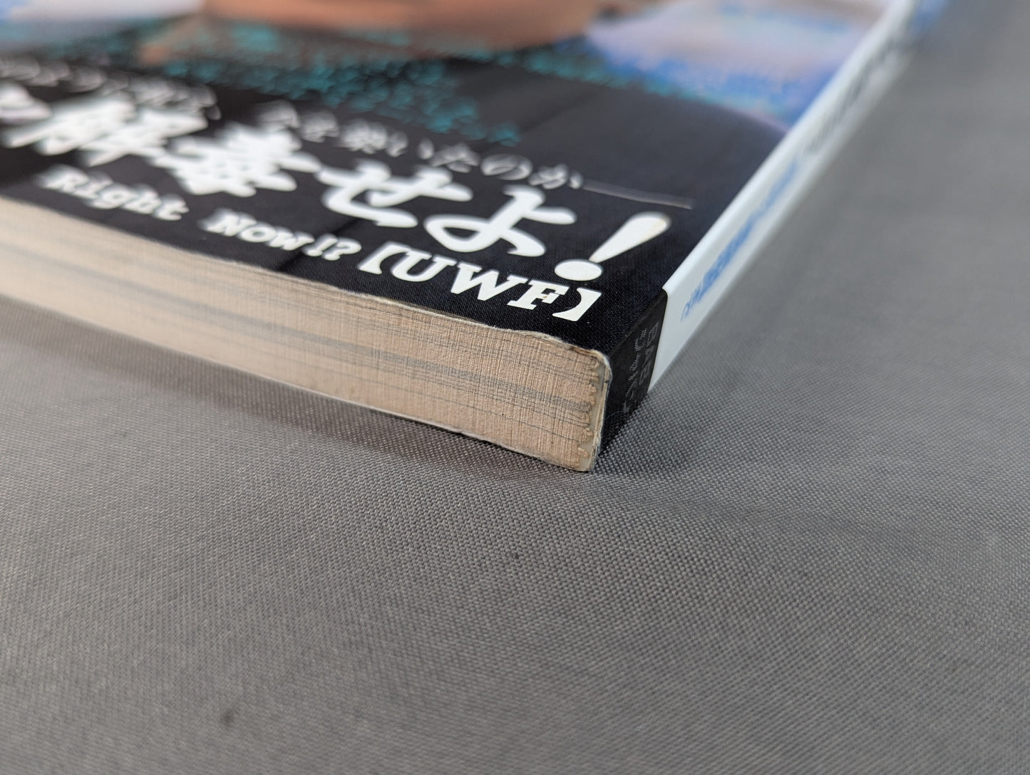 Pro Wrestling Master Vol.11 Detoxify UWF!