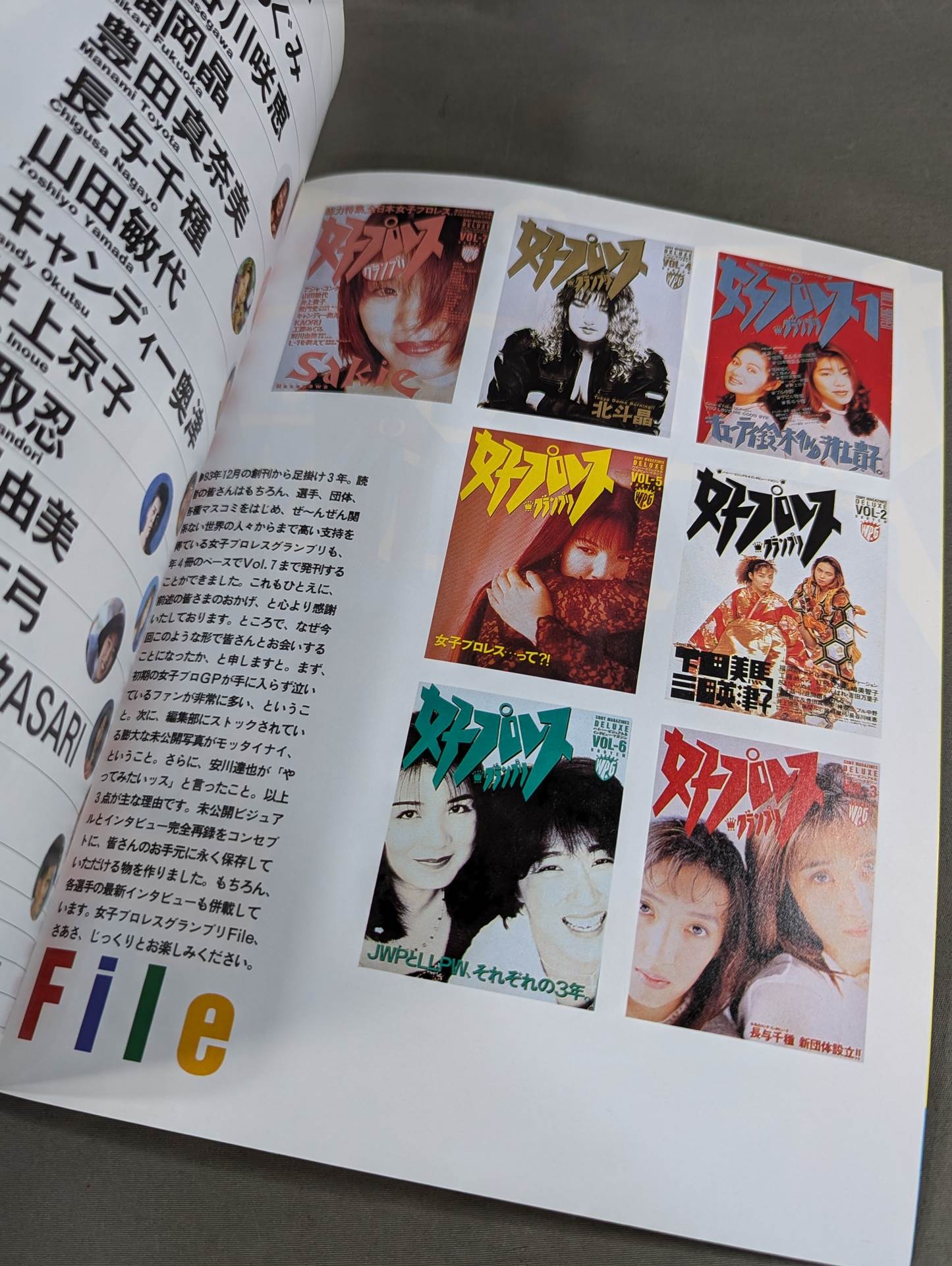 女子プロレスグランプリ File