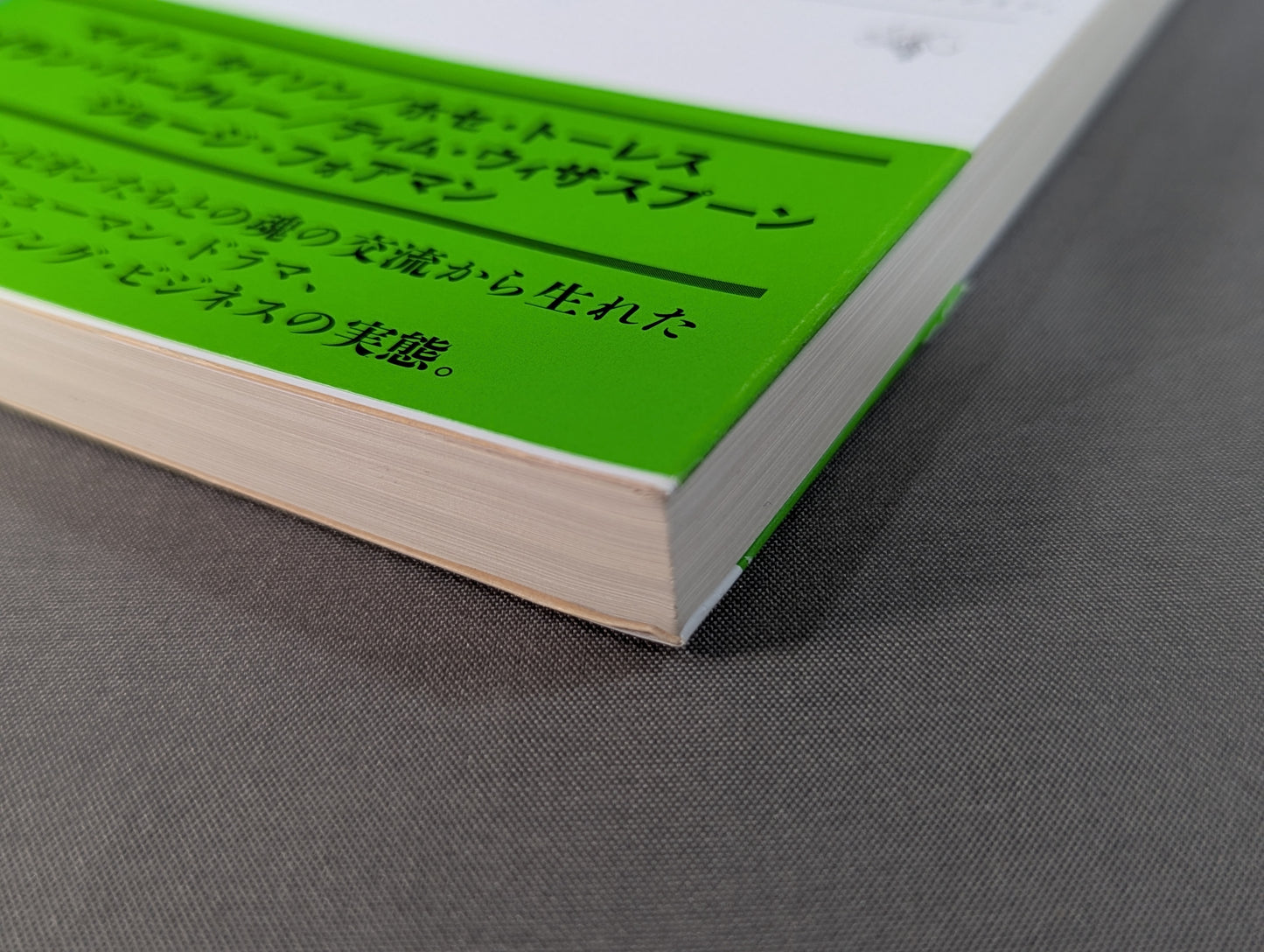 Fist of the Minority: Light and Darkness of the World Champion