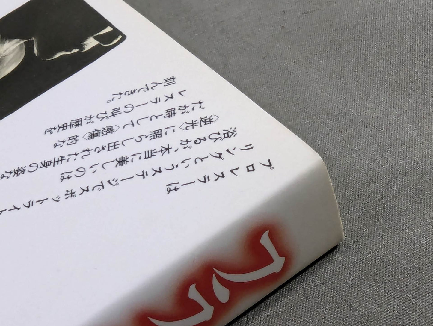 プロレスラー激白コメント99! フラッシュ・バック
