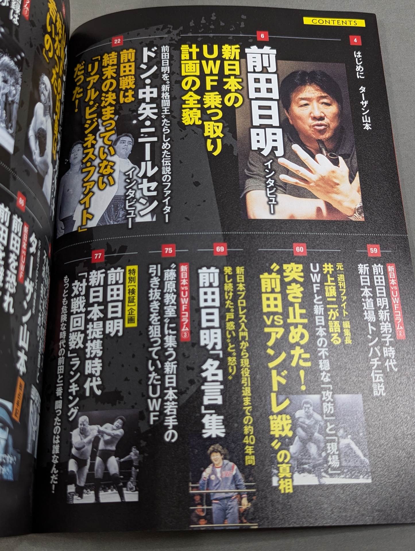 Series Paradoxical Pro Wrestling Vol.9 New Japan Pro Wrestling vsUWF "Forbidden Alliance Era" Matt's Secret History