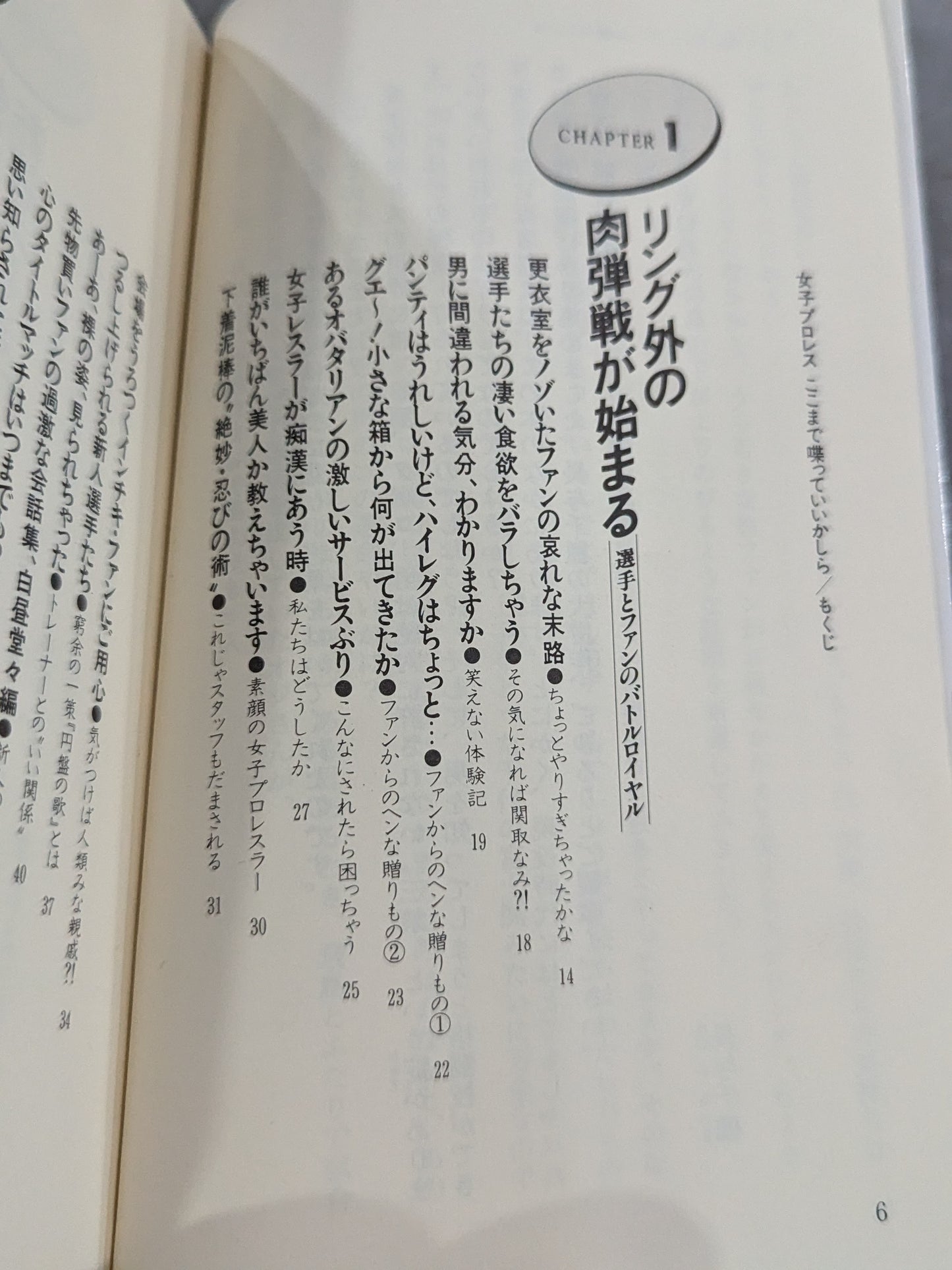 女子プロレス、ここまで喋っていいかしら