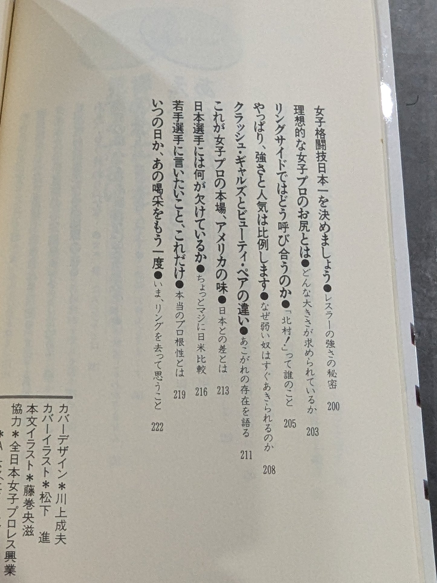 女子プロレス、ここまで喋っていいかしら