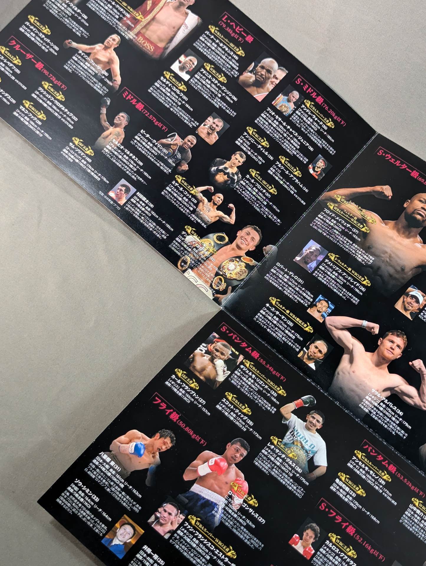 WOWOW Excite Match 注目選手名鑑 2014年秋号