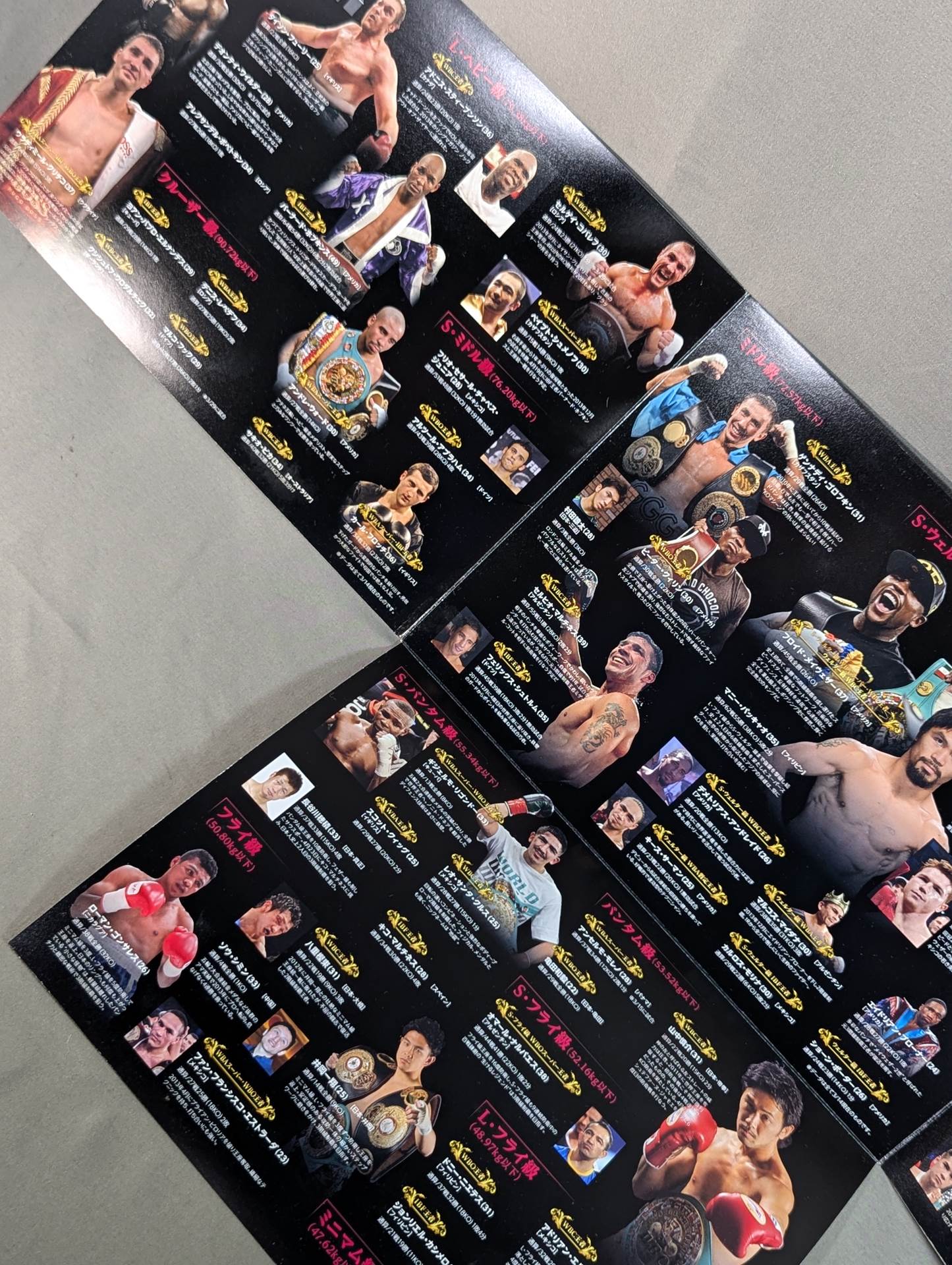WOWOW Excite Match 注目選手名鑑 2014年春号