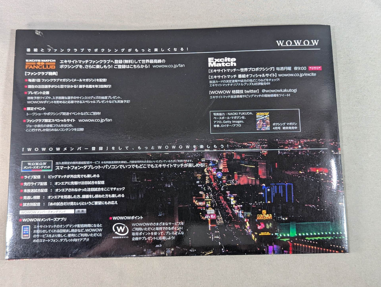 WOWOW Excite Match 注目選手名鑑 2014年春号