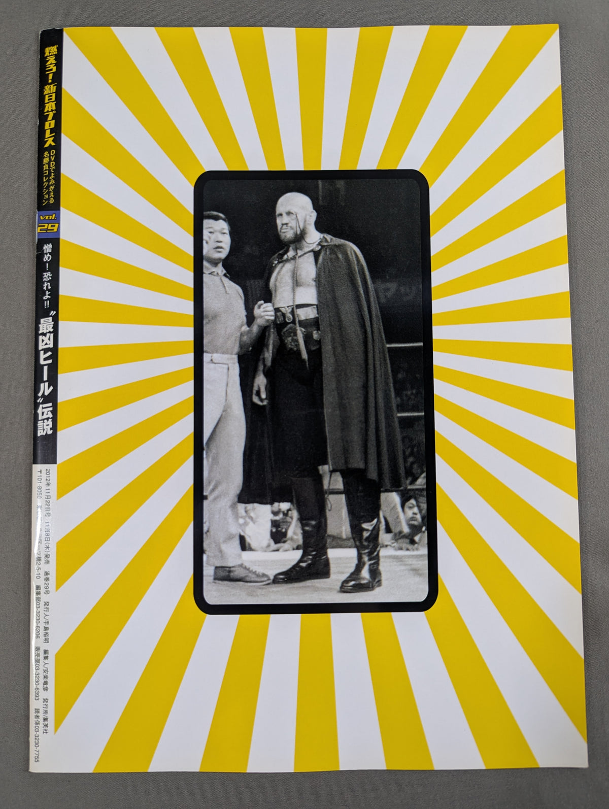 燃えろ!新日本プロレス vol.29