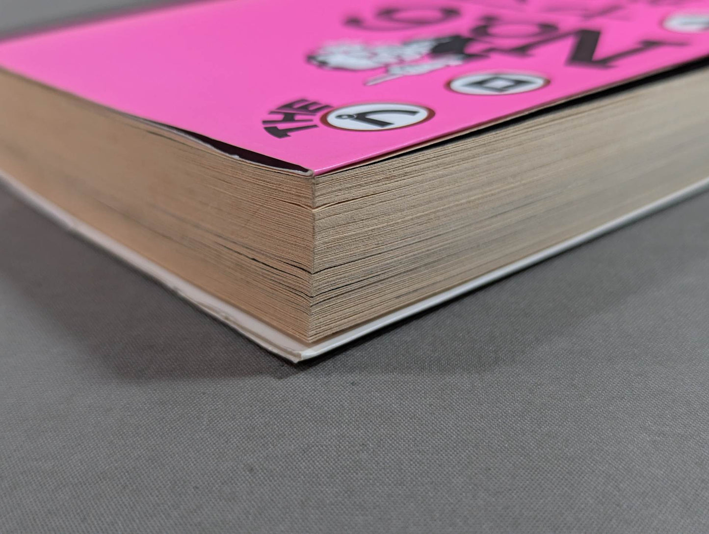 THE Pro Wrestling Book No.6 Yamamo Kaku Talking