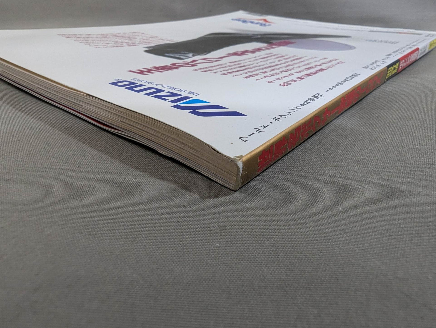 世界名ボクサー究極の100人【95改訂版】J・Lサリバンからリカルド・ロペスまで