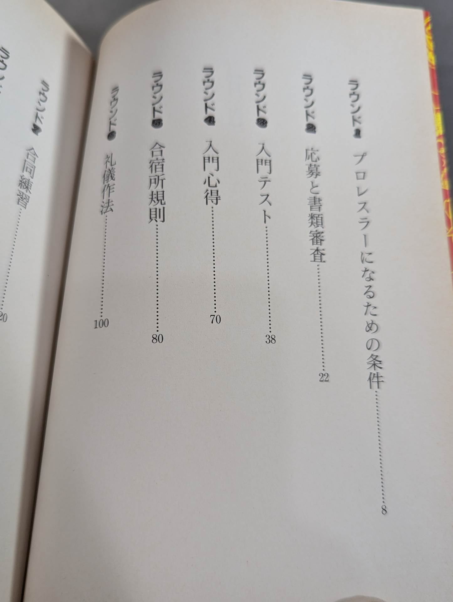 How to become a pro wrestler Absolutely useful definitive edition