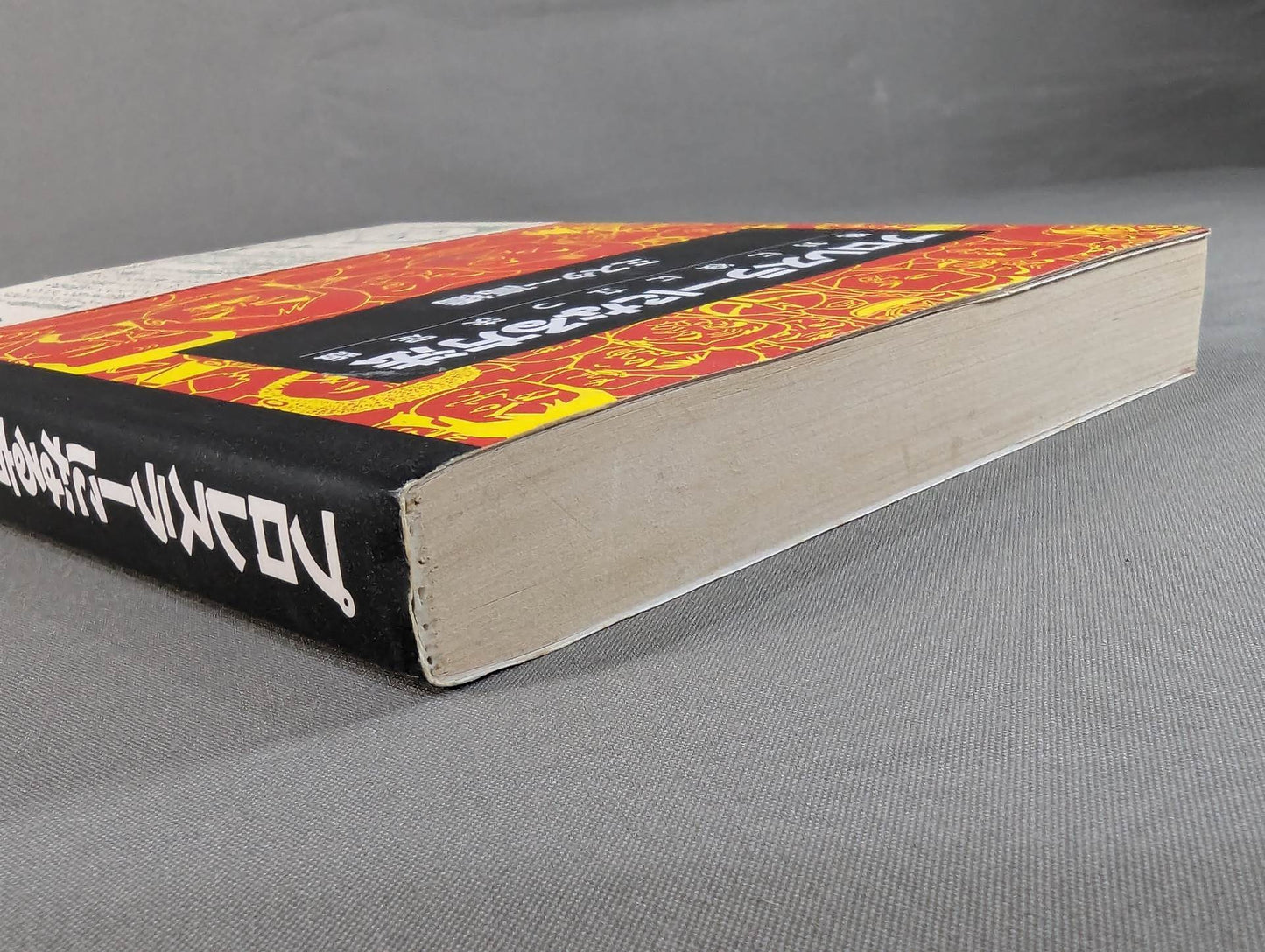 How to become a pro wrestler Absolutely useful definitive edition