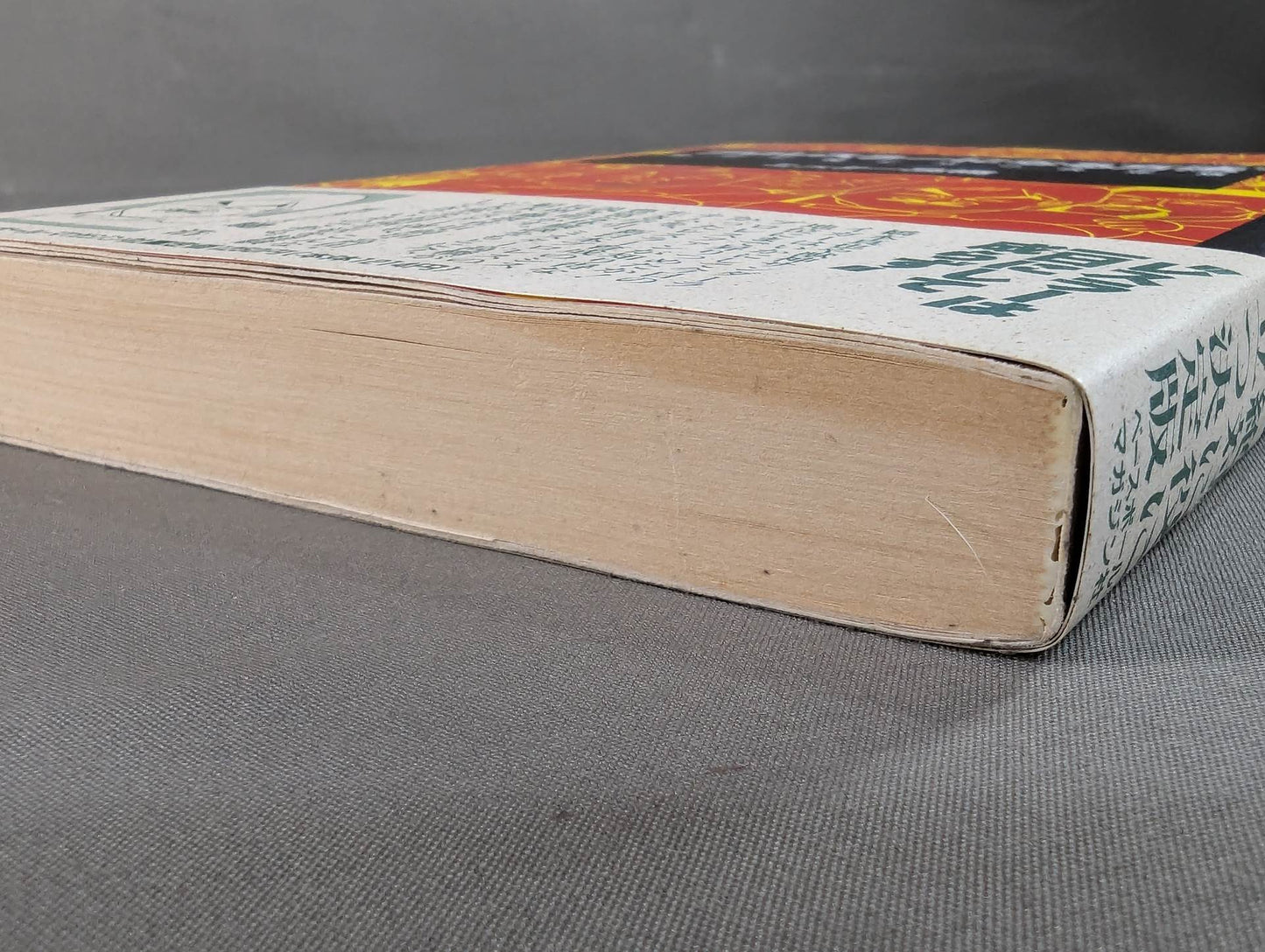 How to become a pro wrestler Absolutely useful definitive edition